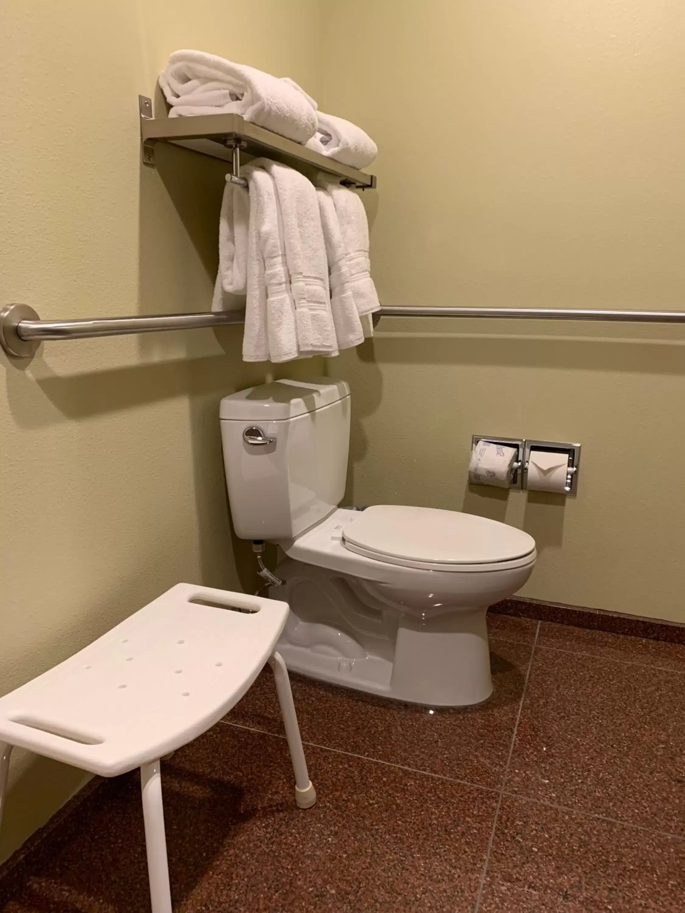 Bathroom in Best Western Snowcap Lodge