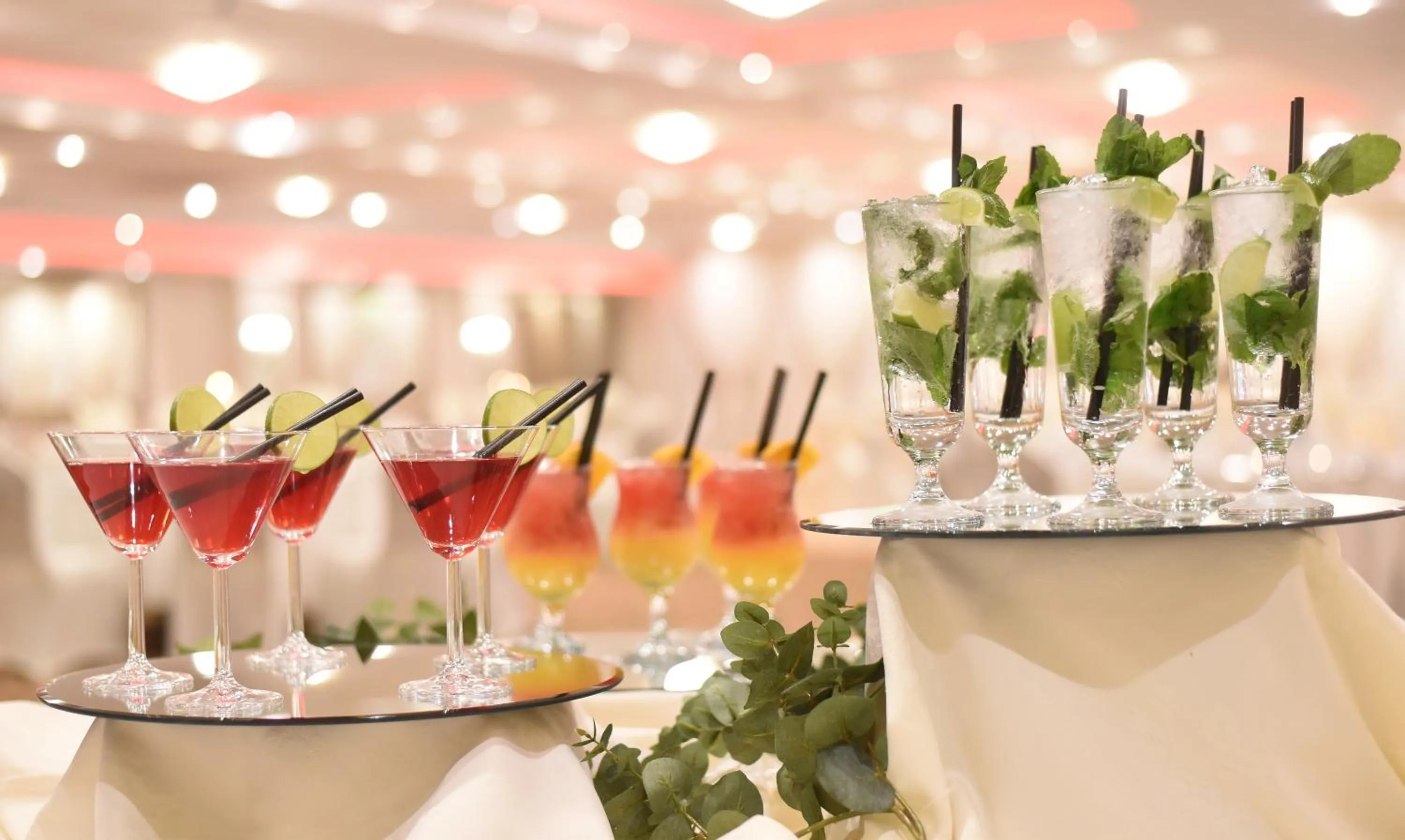 Alcoholic drinks in The Lodge Hotel