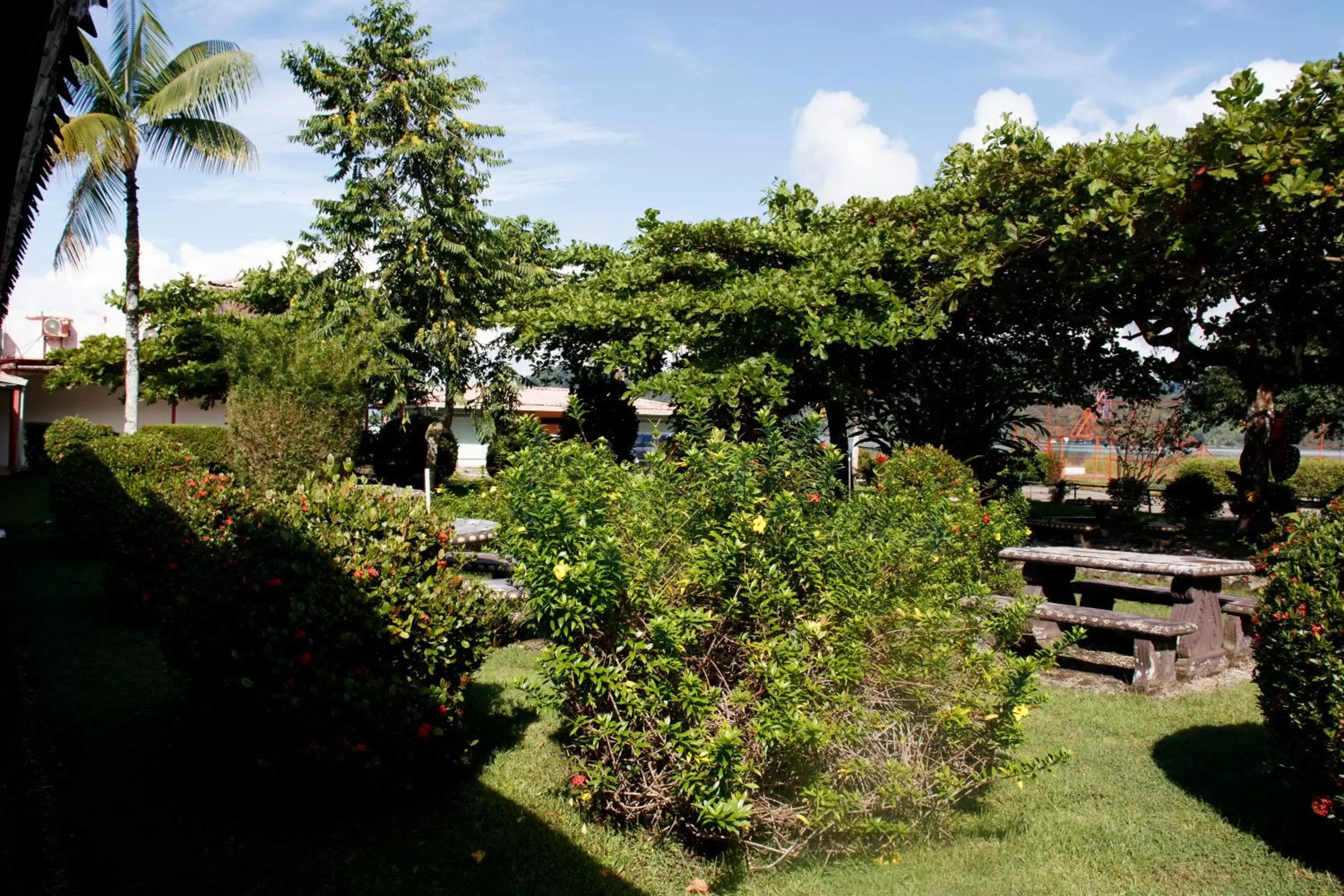 Garden view, Garden in Hotel Samoa del Sur