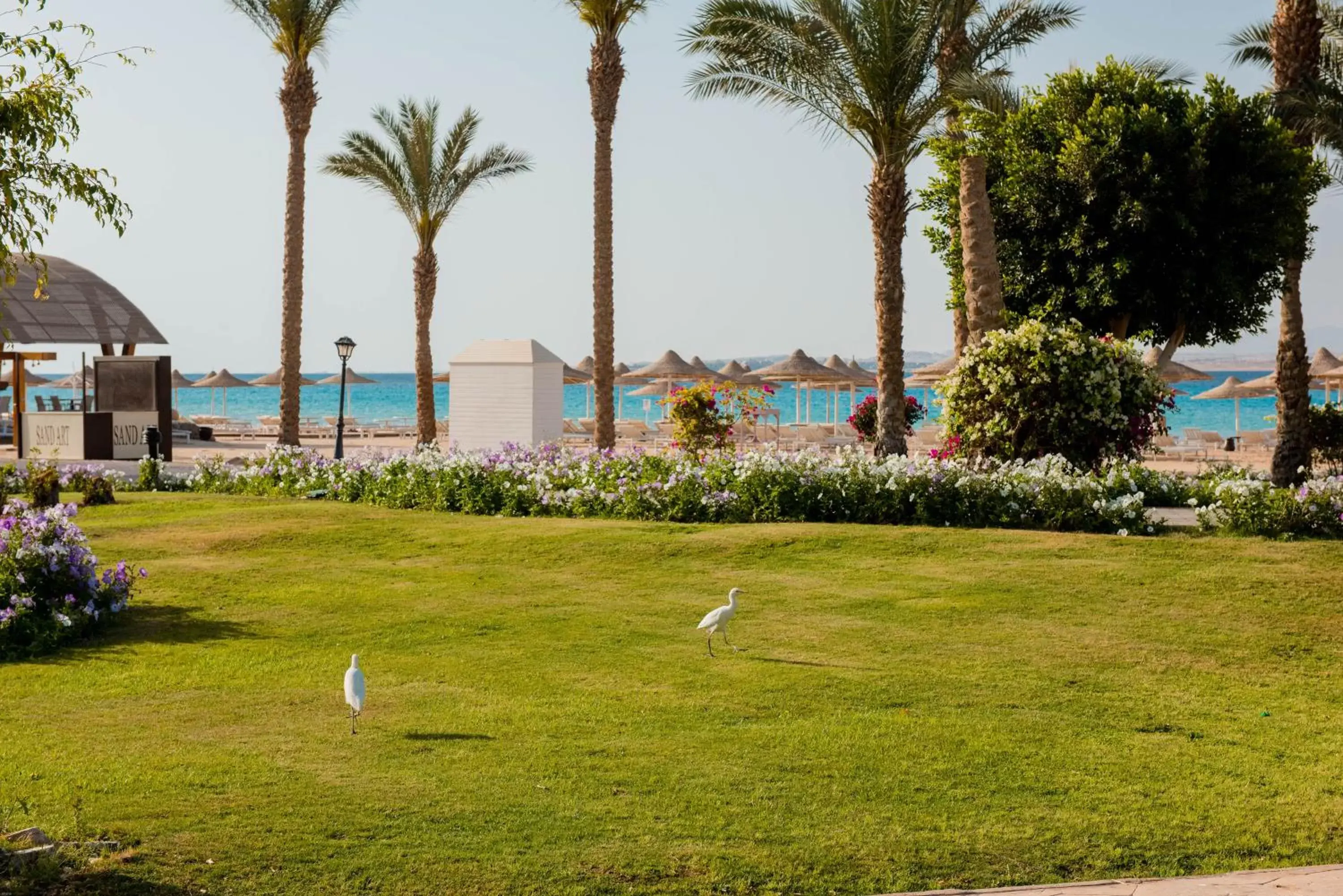 Garden in Pyramisa Beach Resort Sahl Hasheesh