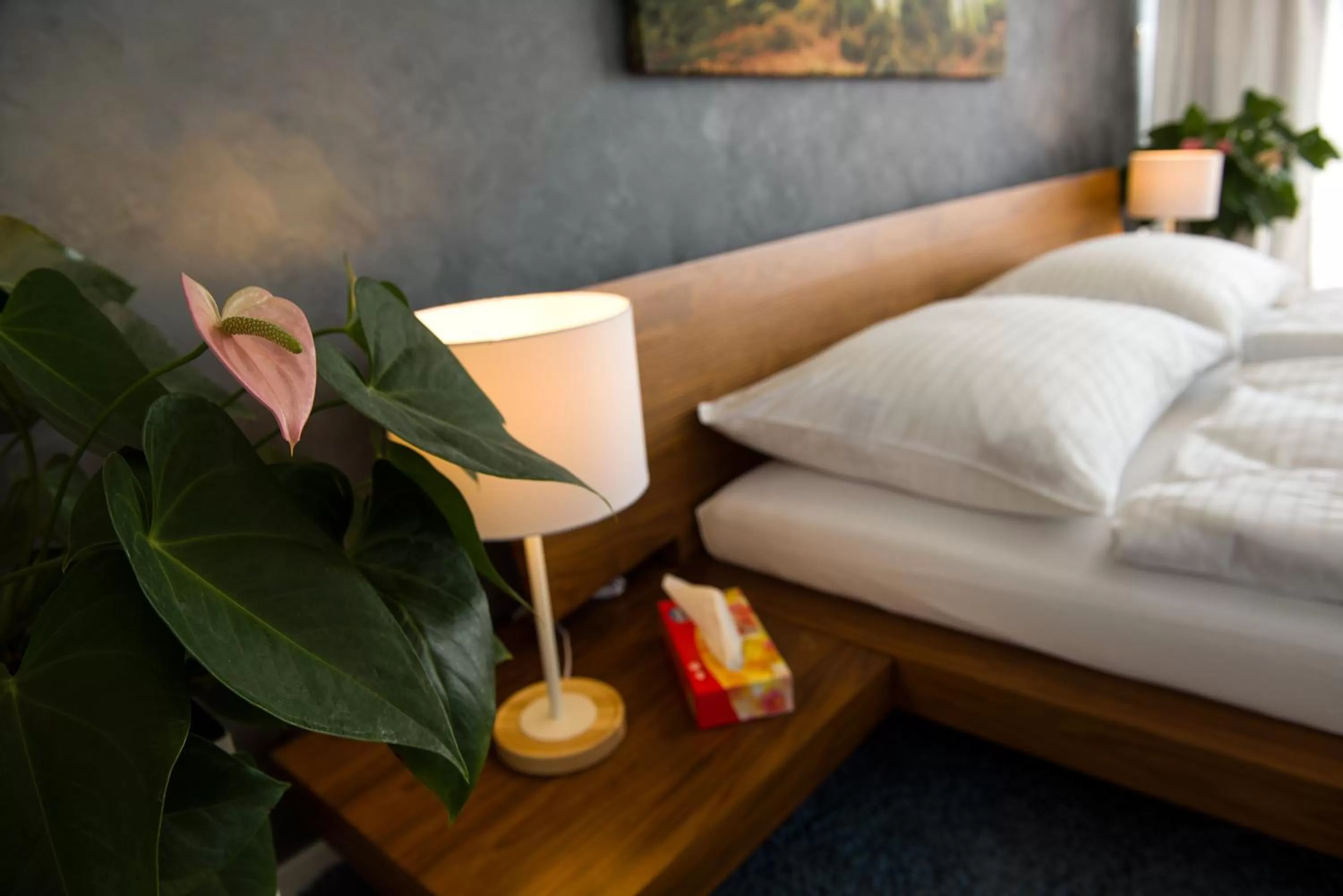 Bed in More Than Accommodation