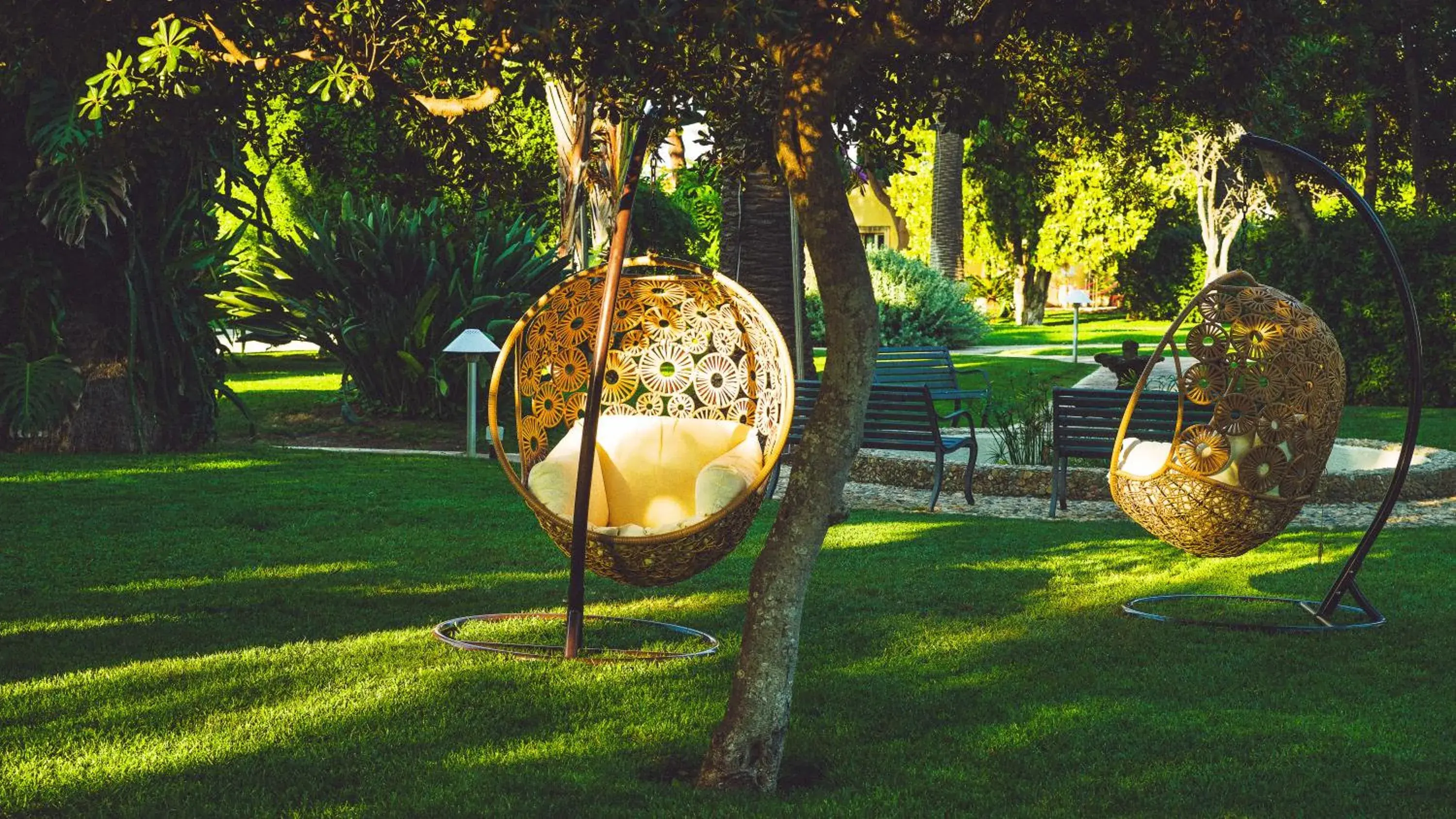 Garden in Hotel Caiammari