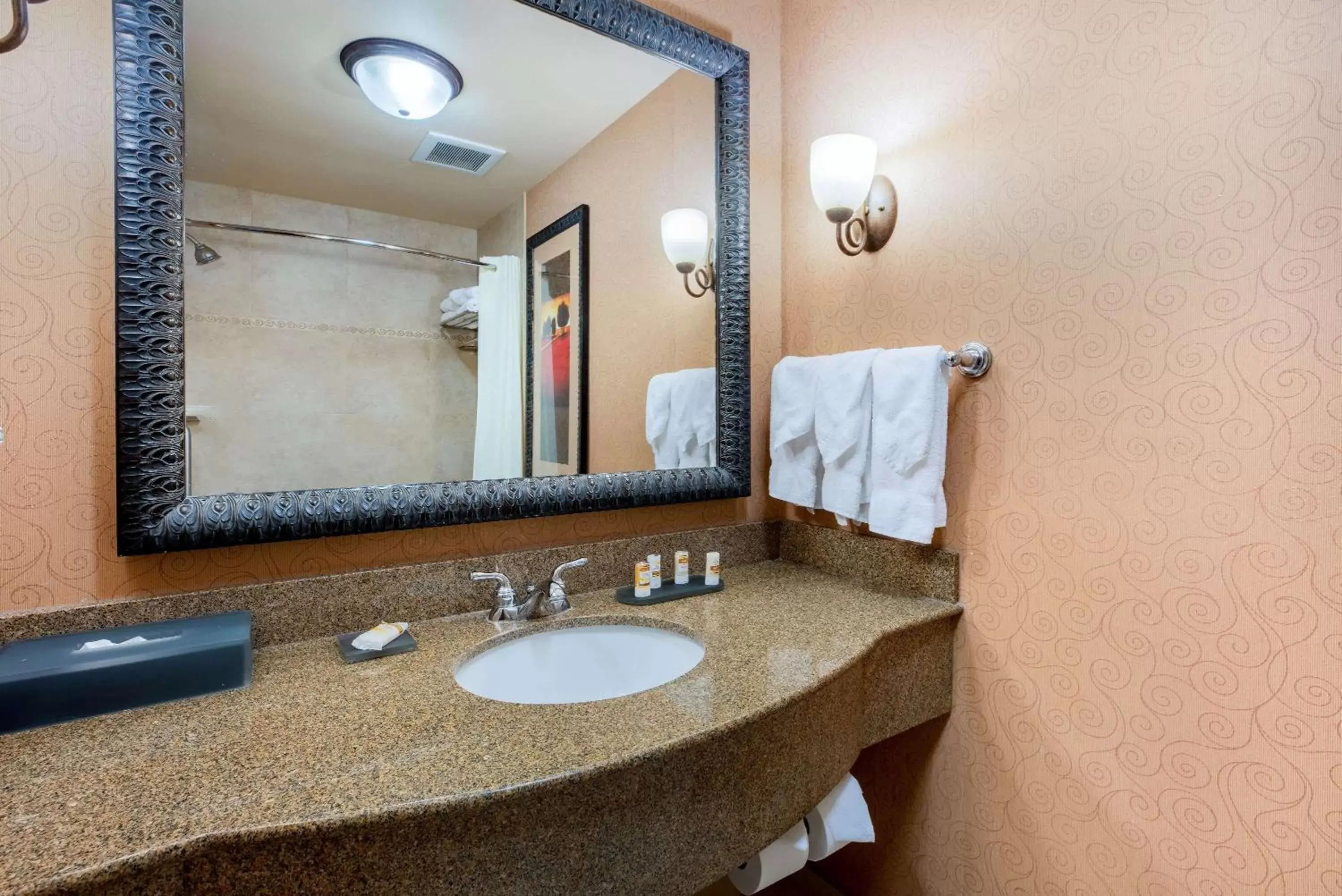 Bathroom in La Quinta by Wyndham Twin Falls