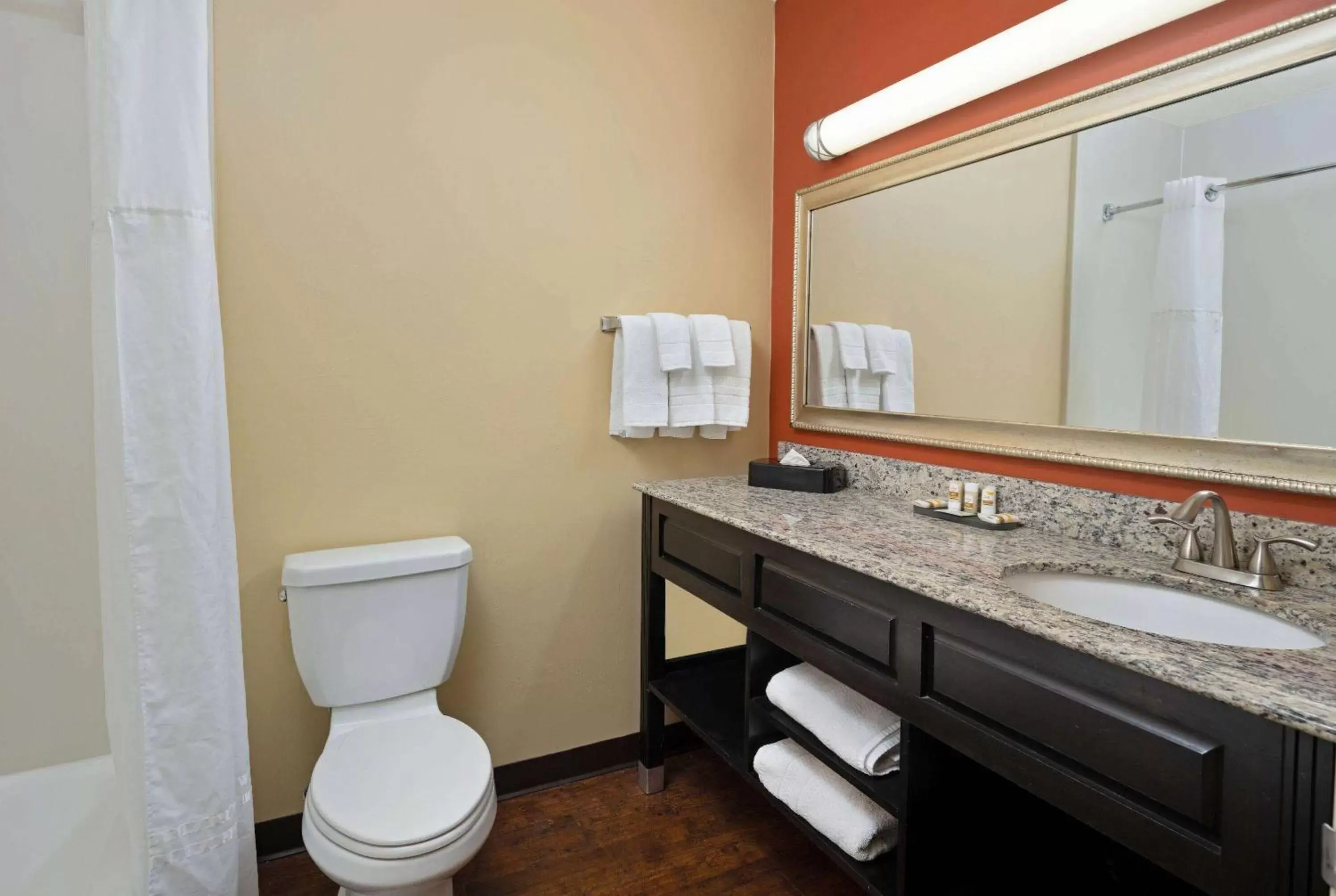 TV and multimedia, Bathroom in La Quinta by Wyndham Tucson - Reid Park