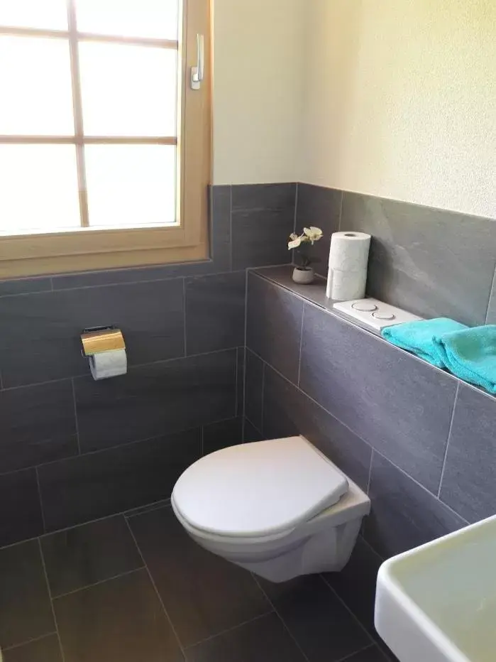 Toilet, Bathroom in Ferien in der Bergwelt von Adelboden