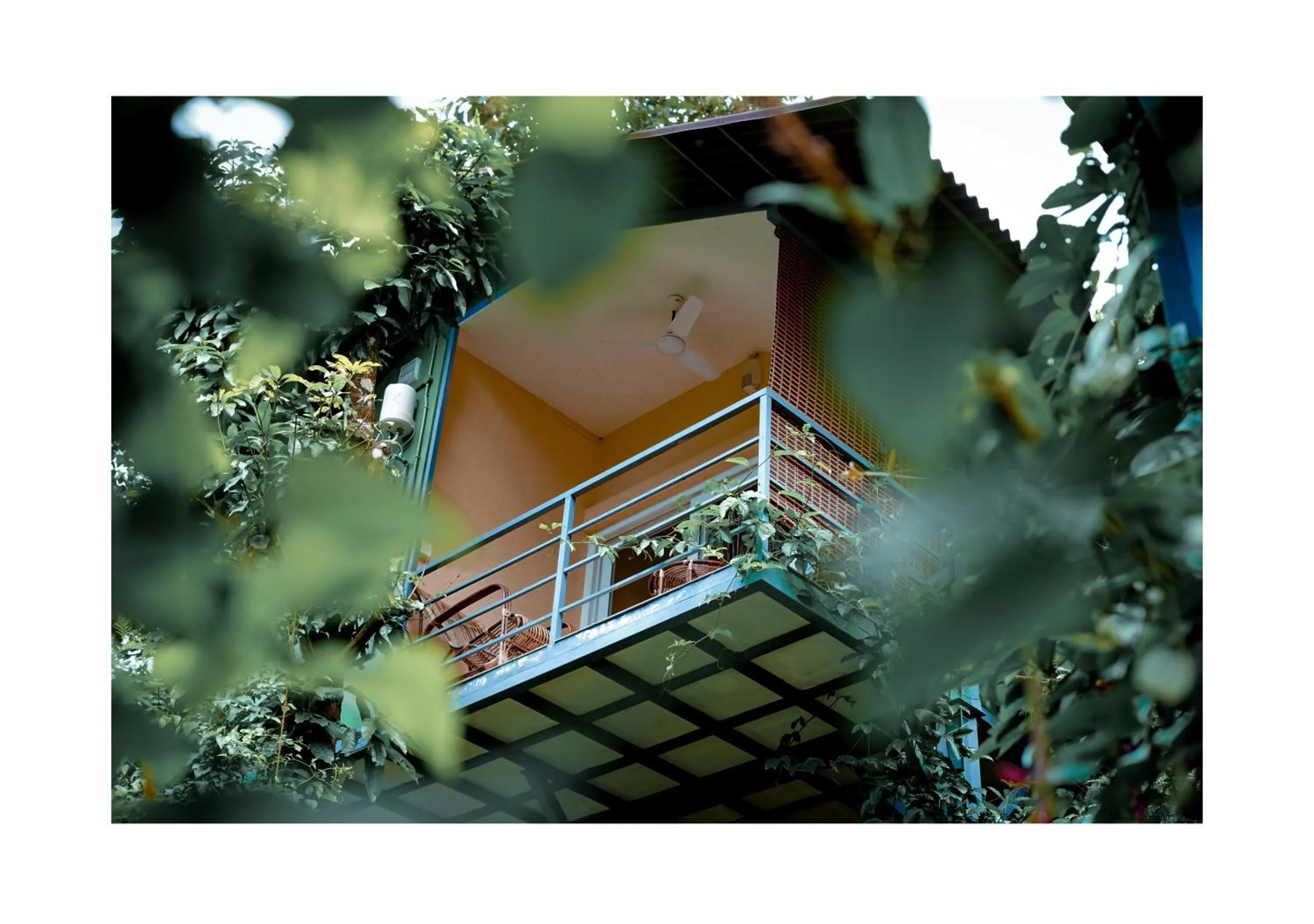 Balcony/Terrace, Property Building in Edens Munnar