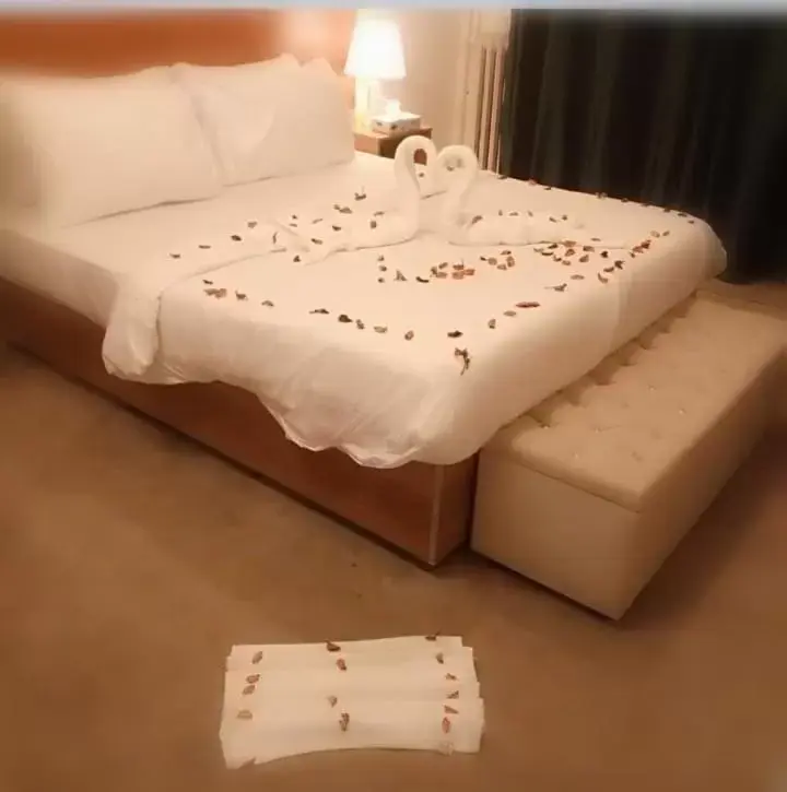 King Room with Balcony in New Park Hotel King Room with Balcony in New Park Hotel