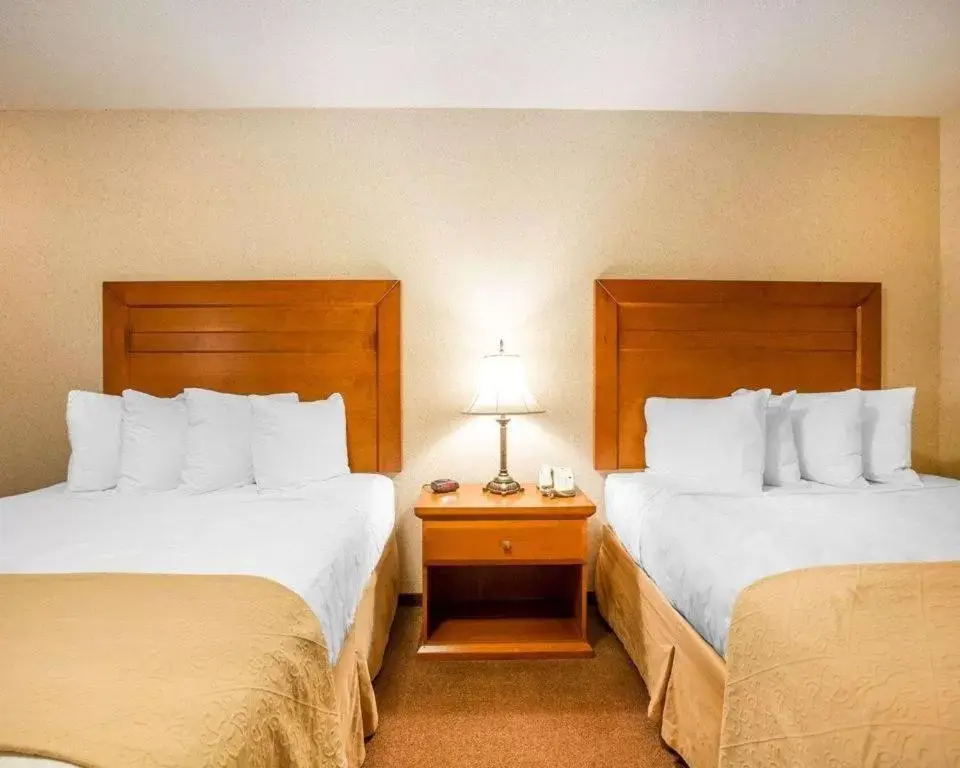 Bed in Quality Inn & Suites Lethbridge
