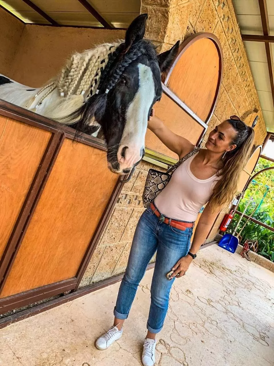 Activities in Conny's Hotel (Adult Only) +18