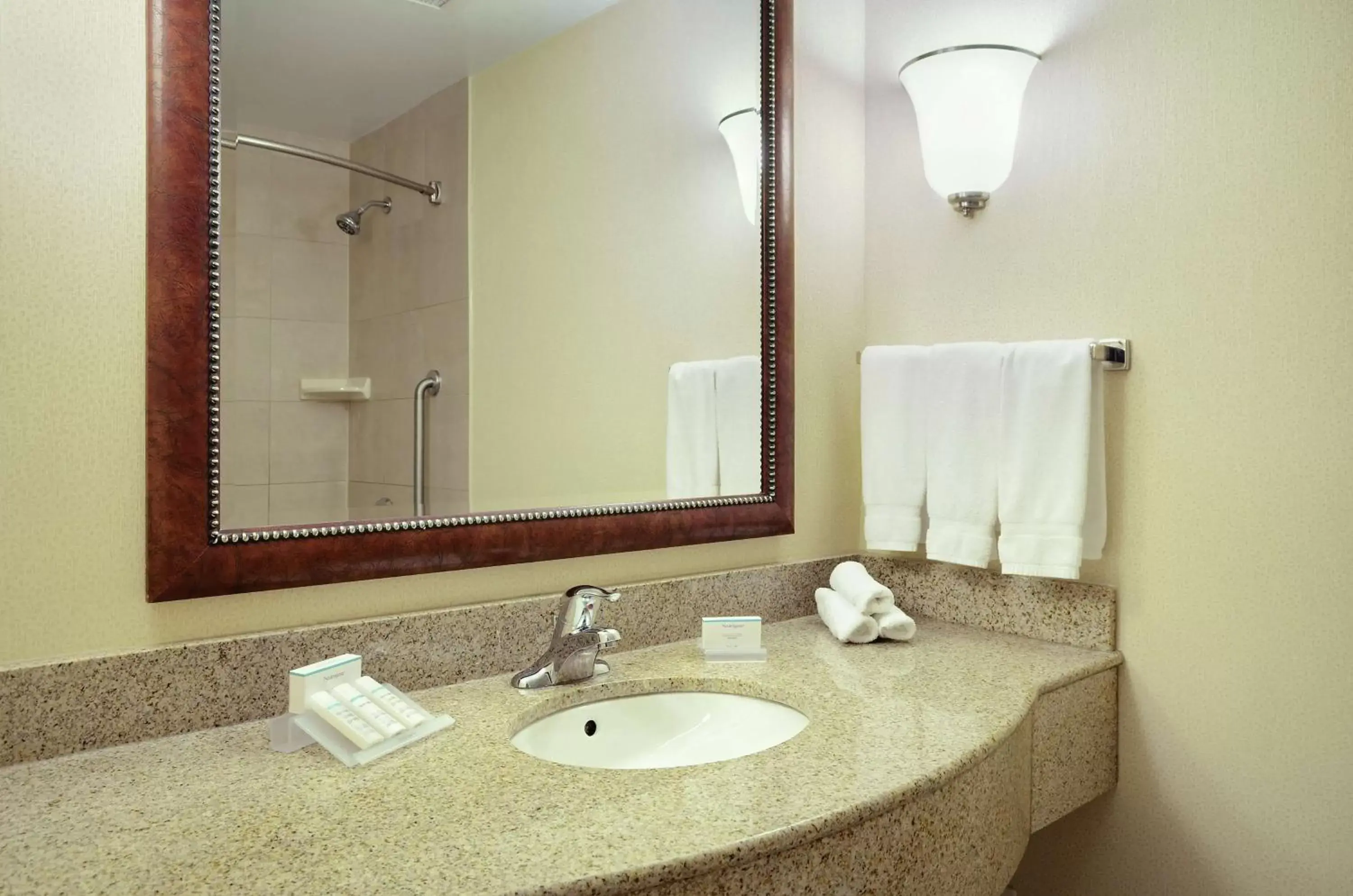Bathroom in Hilton Garden Inn Toronto/Burlington