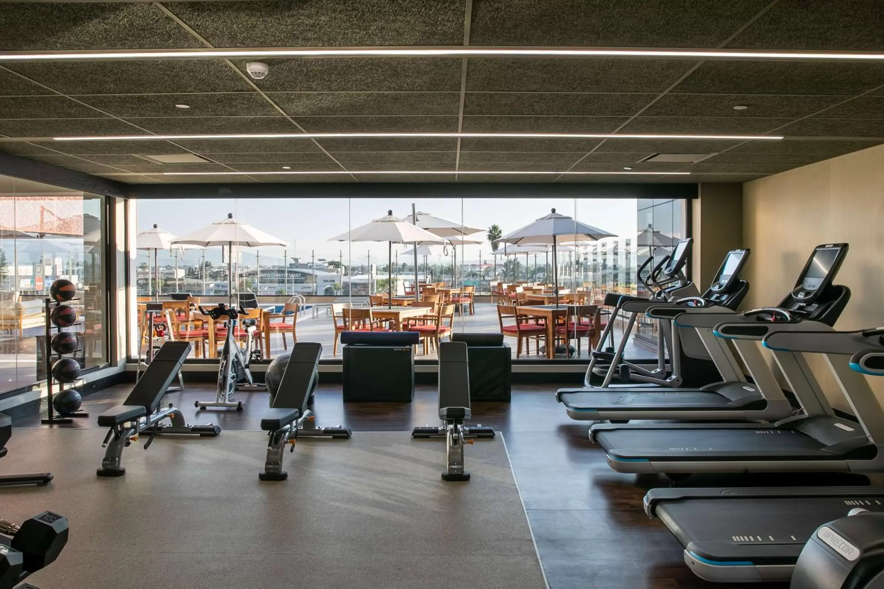 Fitness centre/facilities, Fitness Center/Facilities in Doubletree By Hilton Celaya