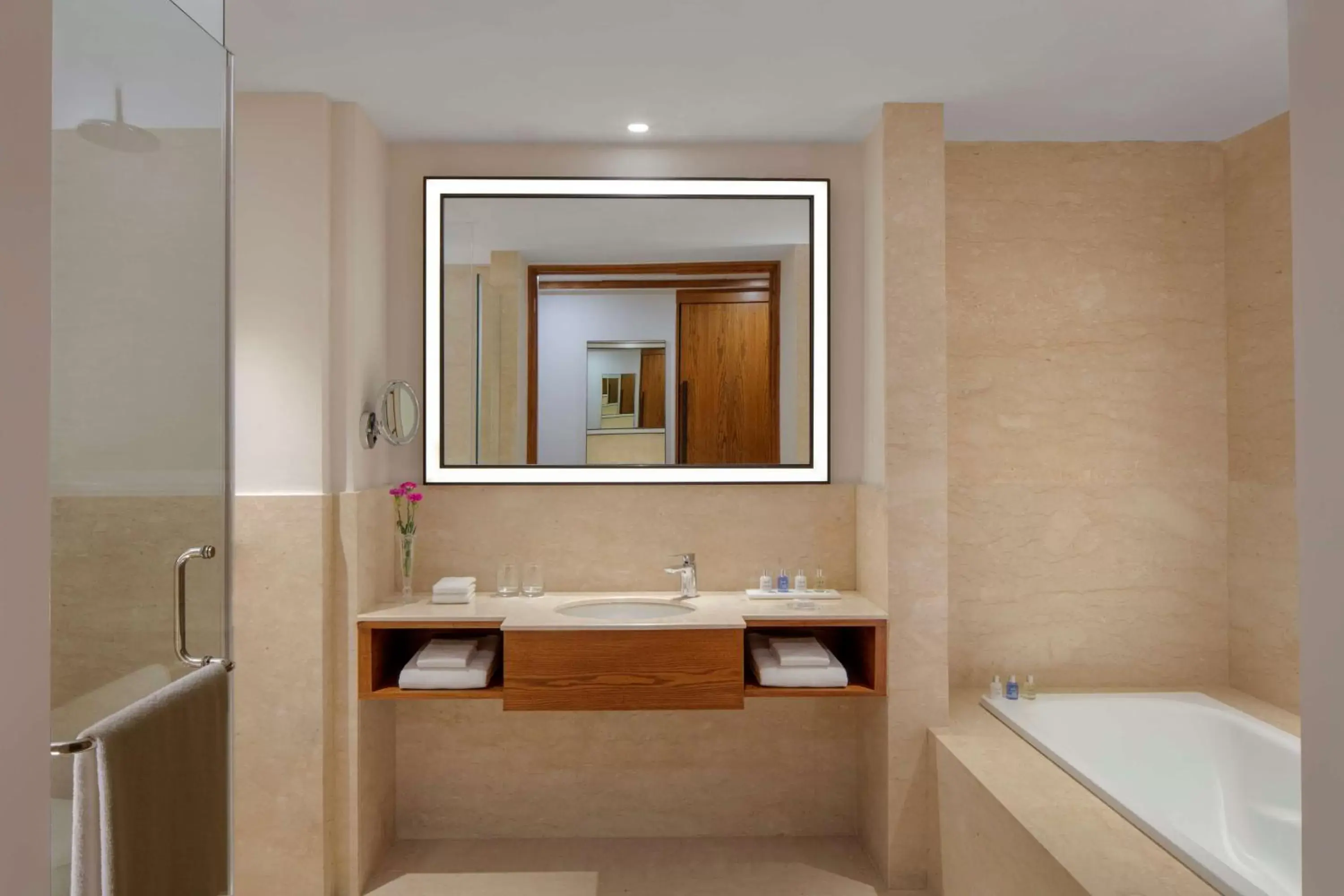 Toilet, Bathroom in Radisson Blu Plaza Hotel Mysore