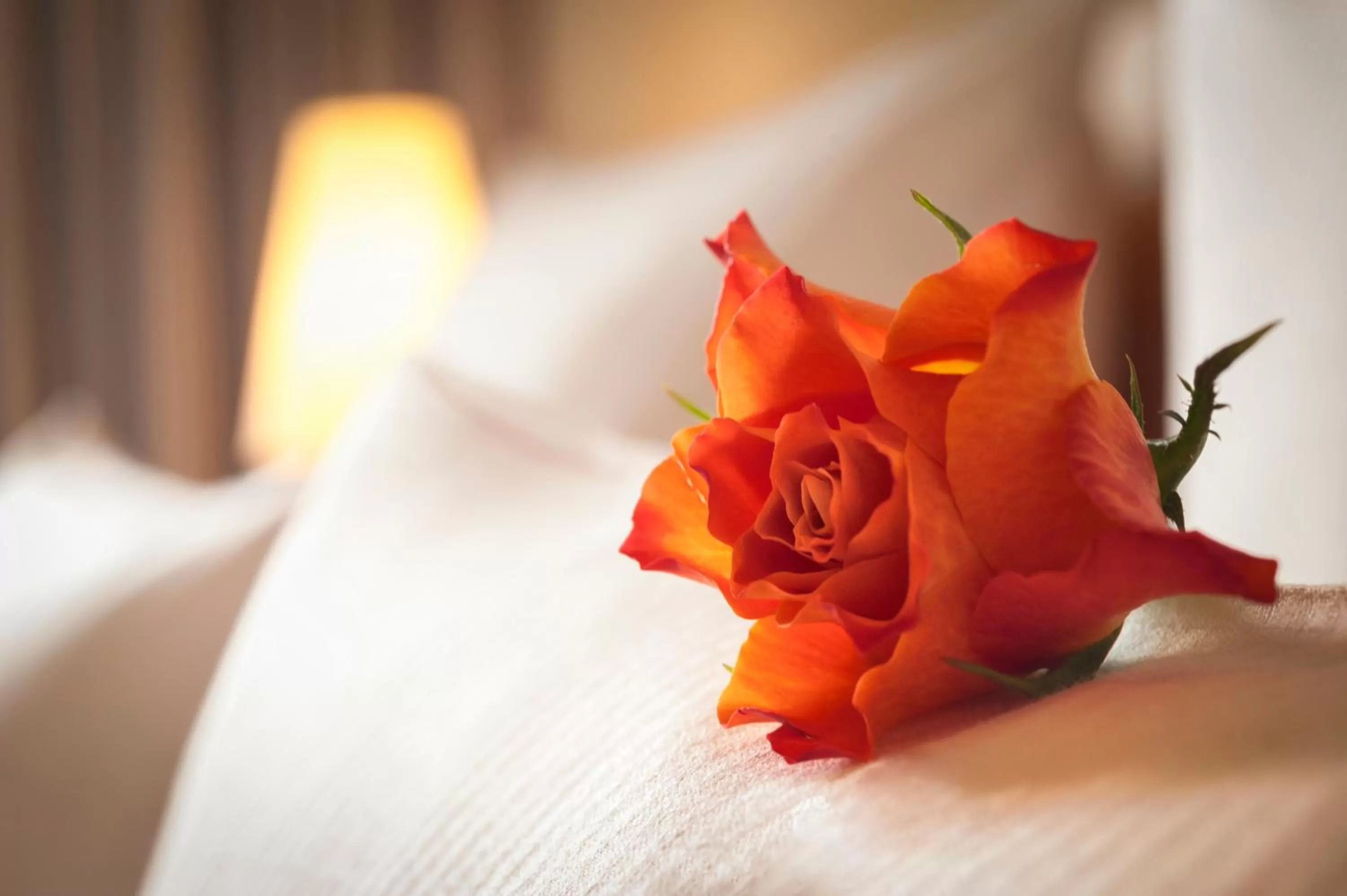 Decorative detail, Bed in Dorint Hotel Frankfurt/Oberursel
