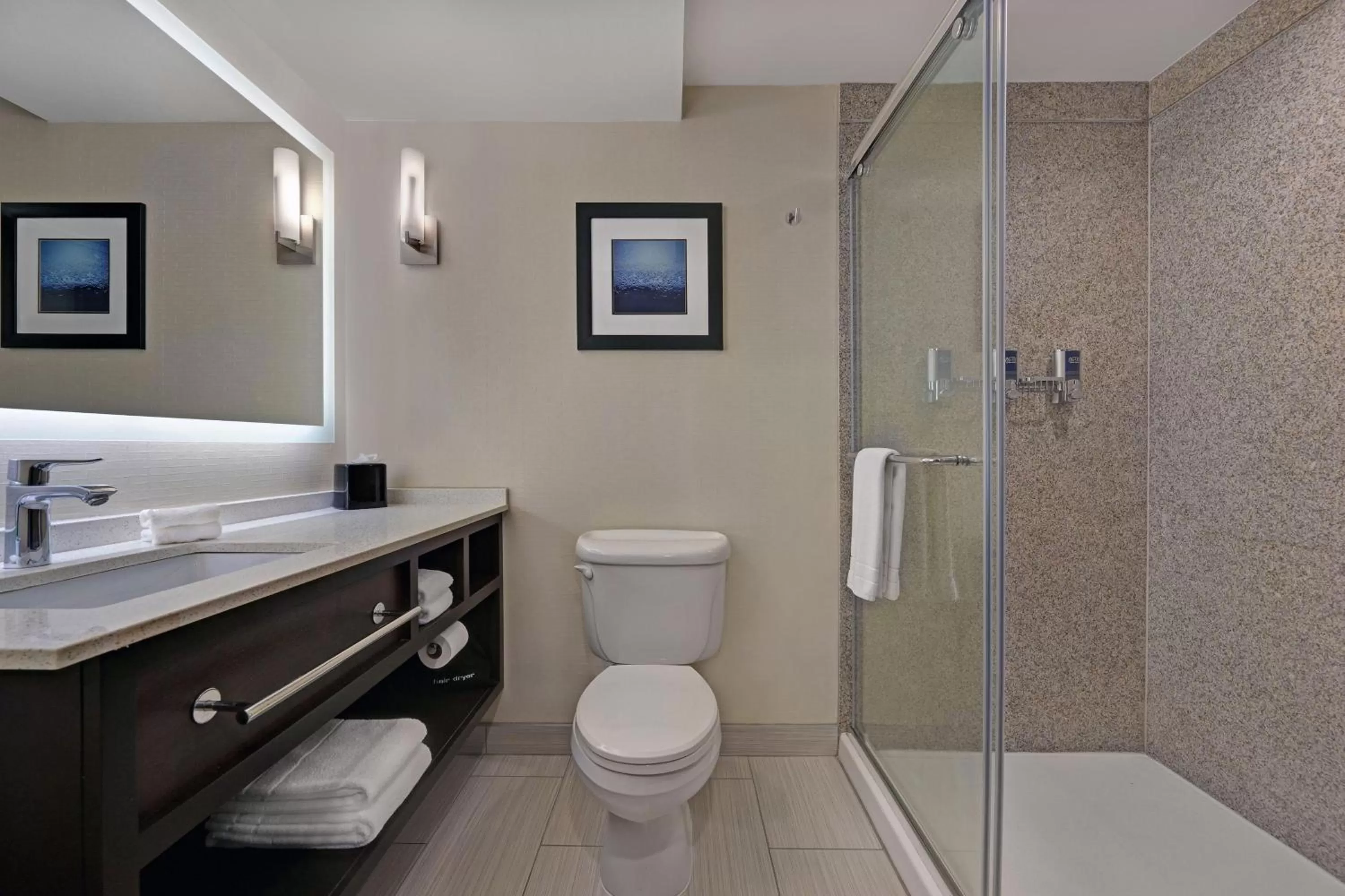 Bathroom in Four Points by Sheraton Birmingham Homewood