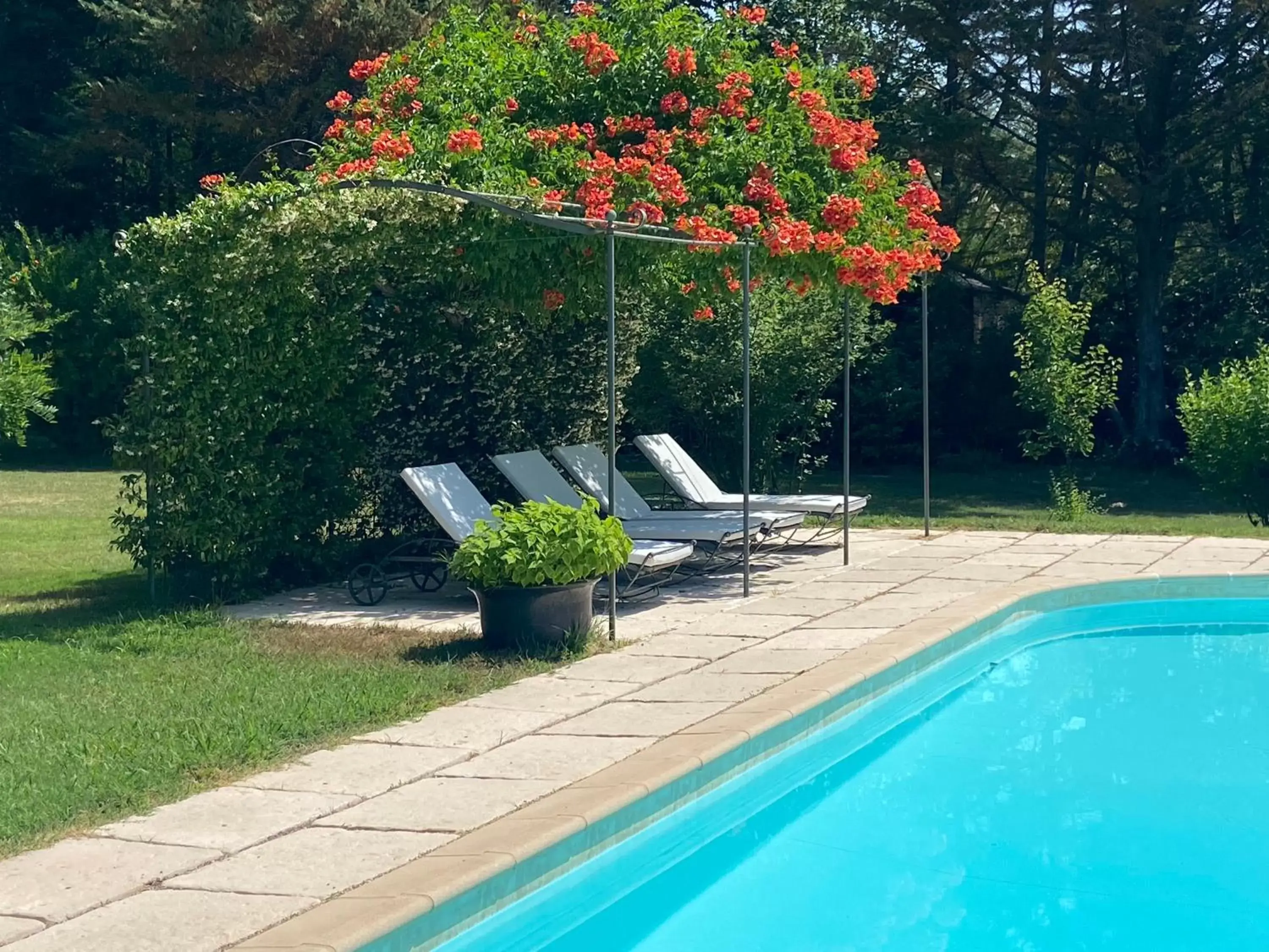 Garden view, Swimming Pool in Villa de Miha