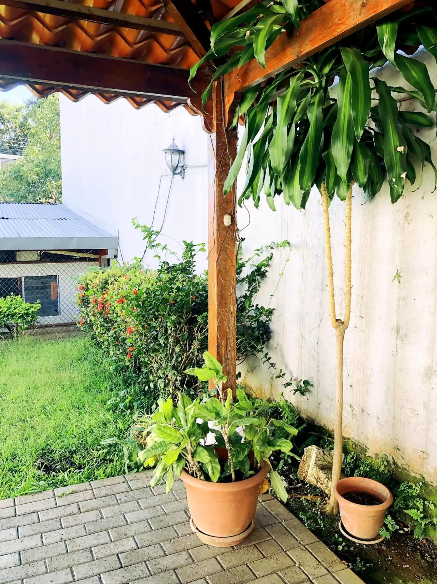 Garden view in BIN Bed&Breakfast