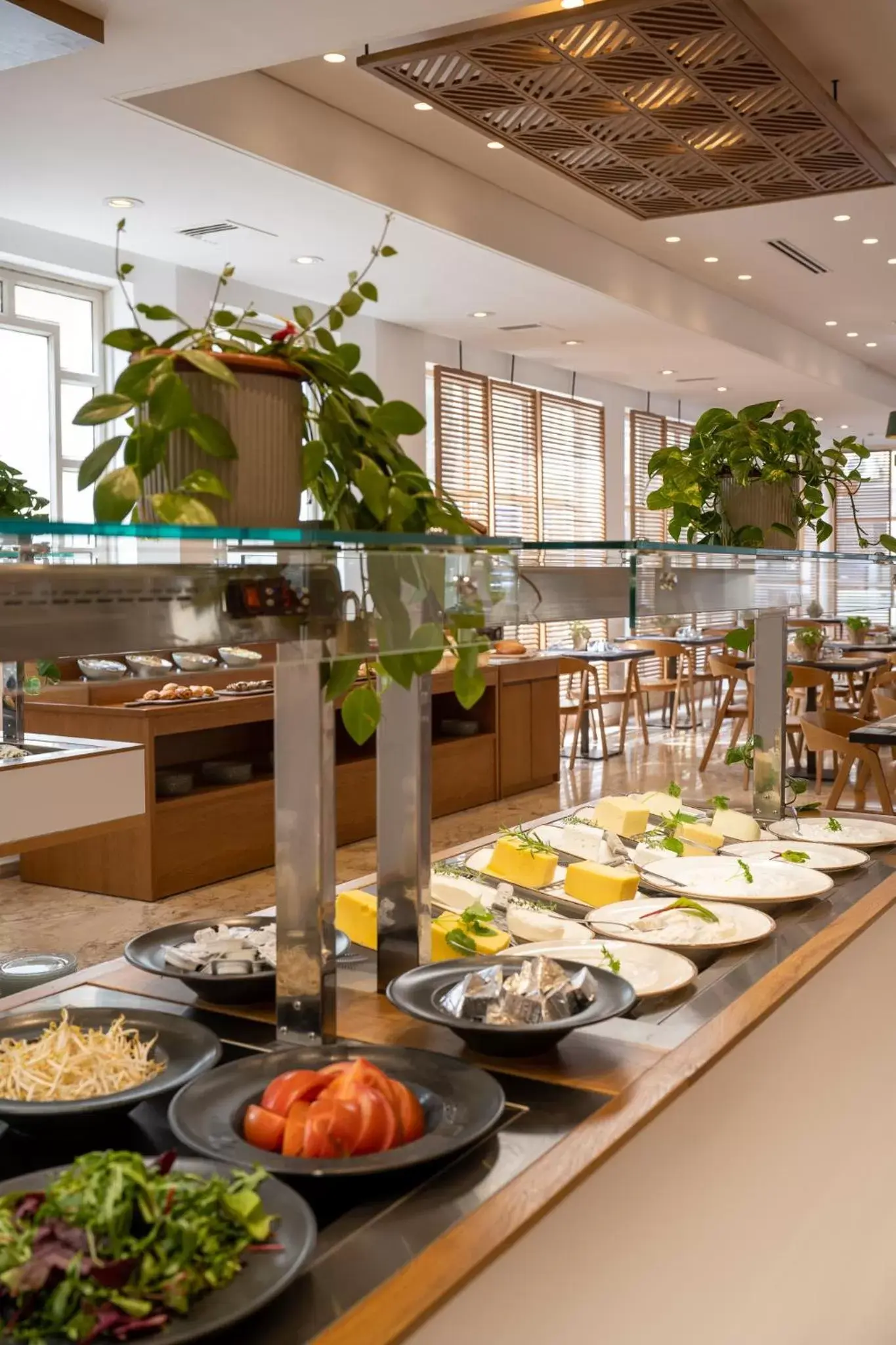 Restaurant/places to eat in Prima Palace Hotel