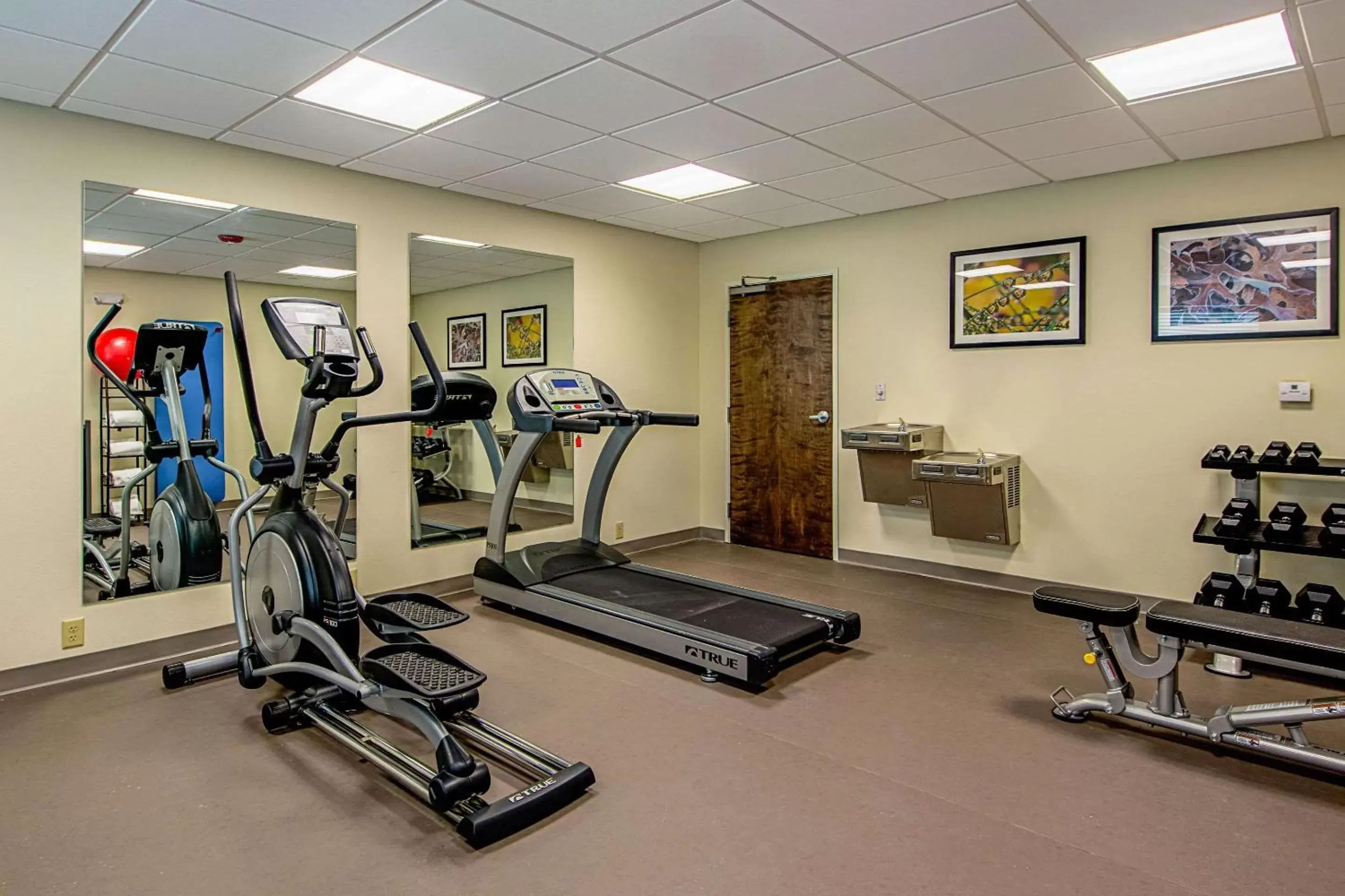 Fitness centre/facilities, Fitness Center/Facilities in Sleep Inn Geismar - Gonzales