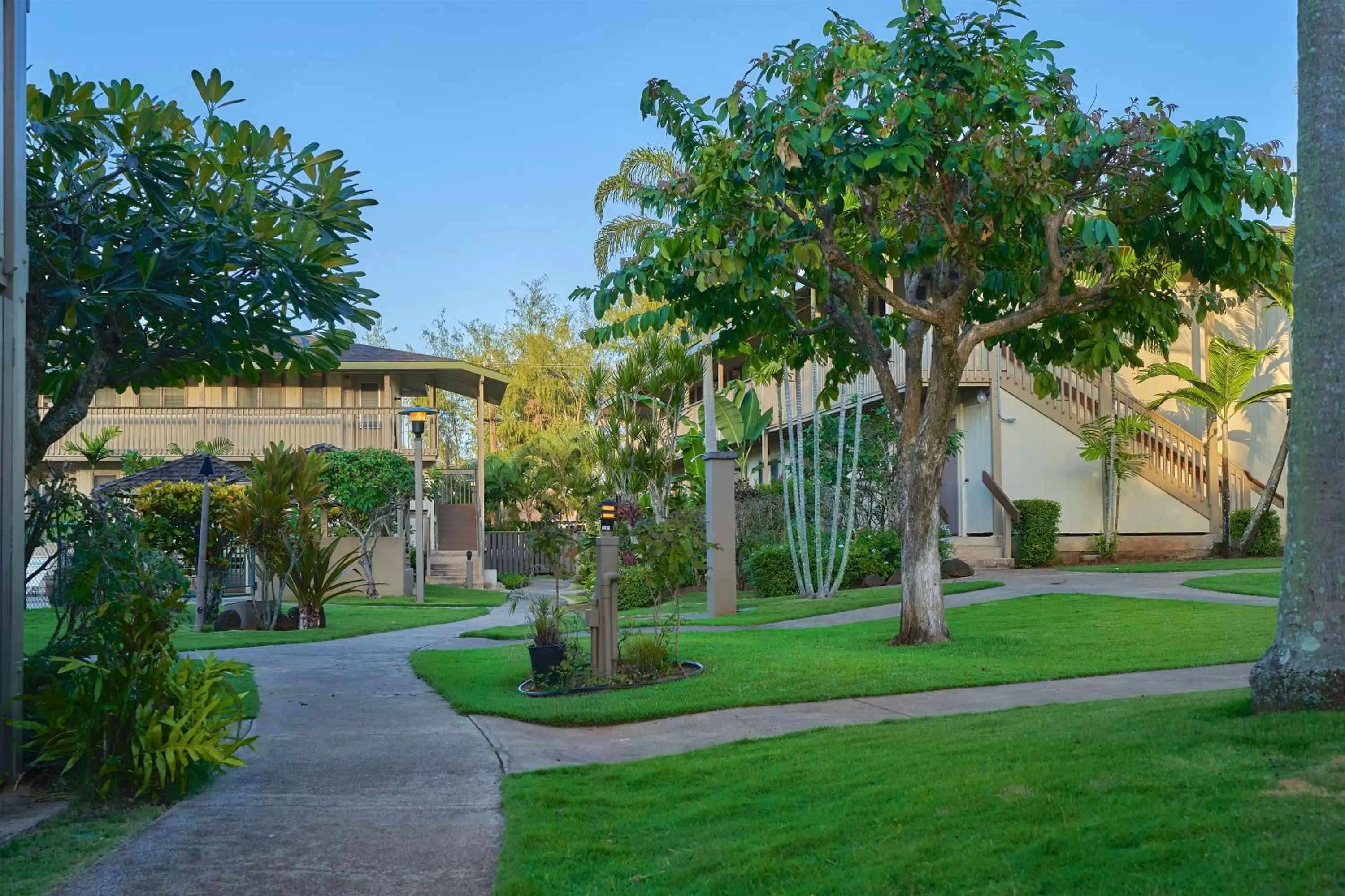 Garden in The Kauai Inn