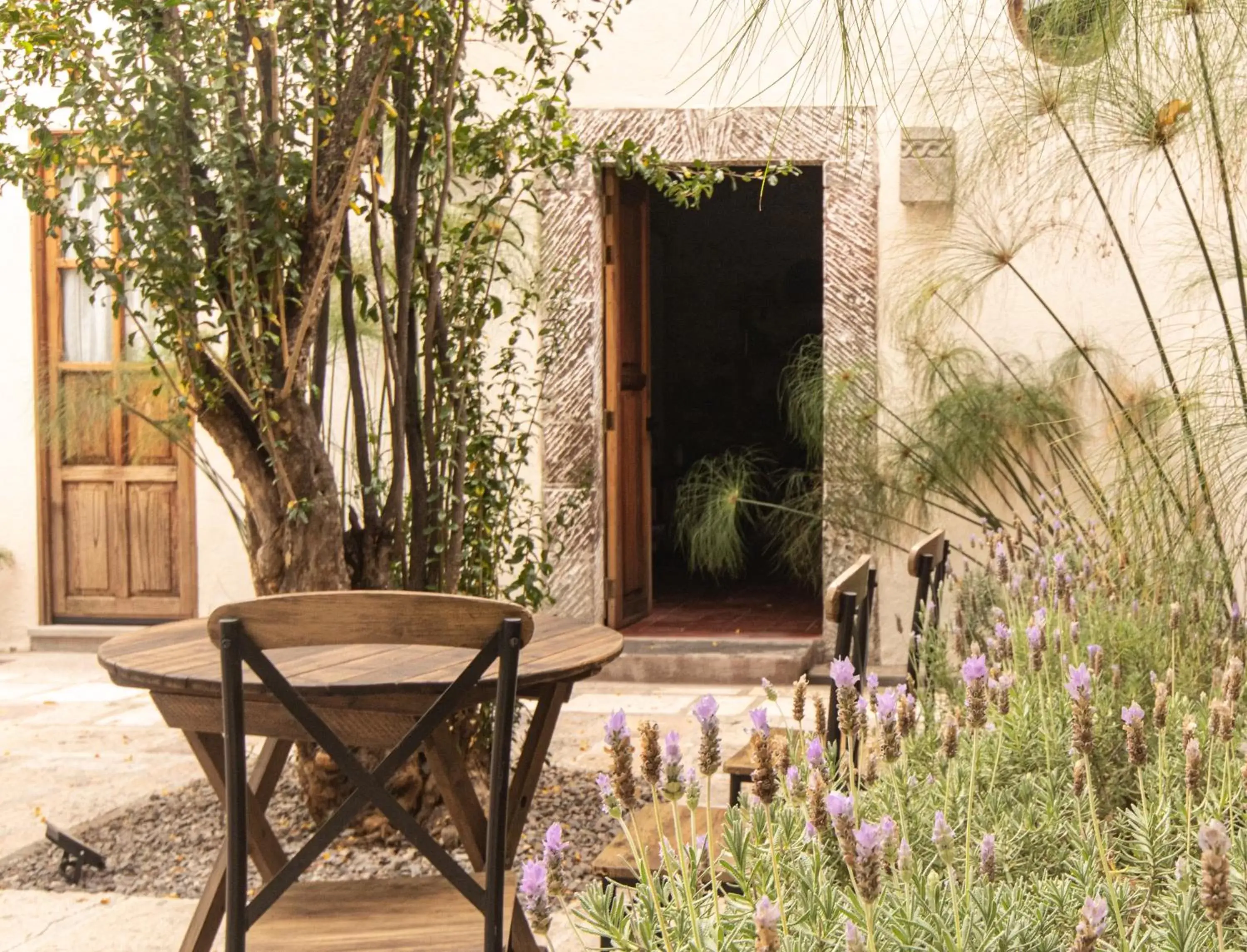 Patio in Orchid House San Miguel de Allende