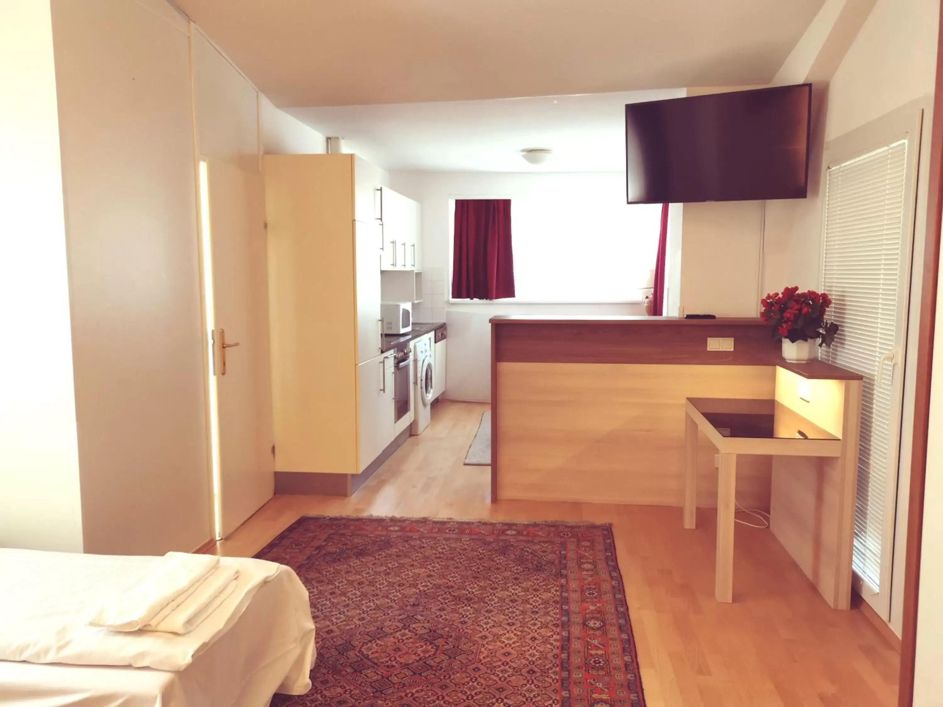 TV and multimedia, Kitchen/Kitchenette in Hotel Haydn