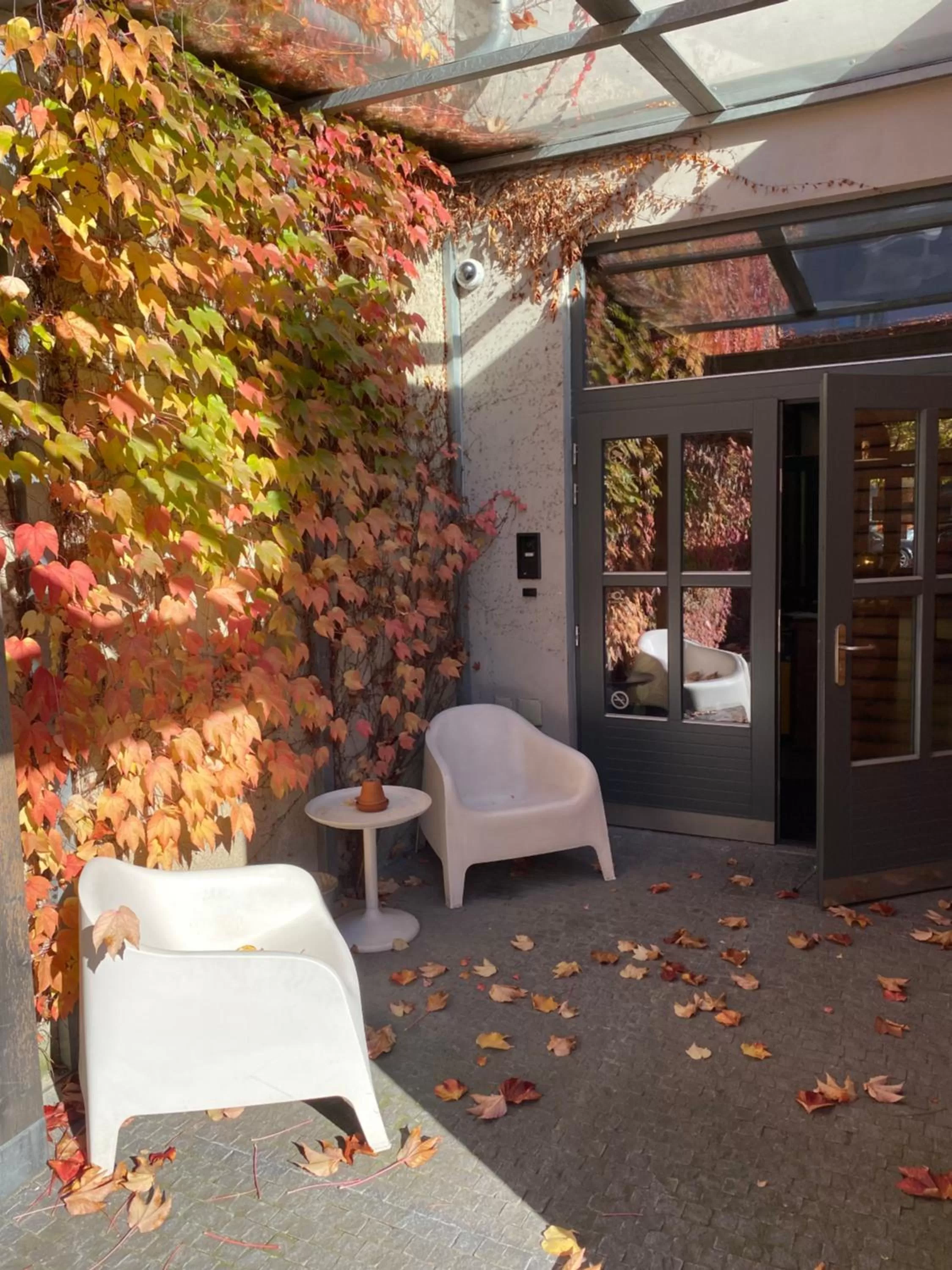 Patio in Hotel city.city