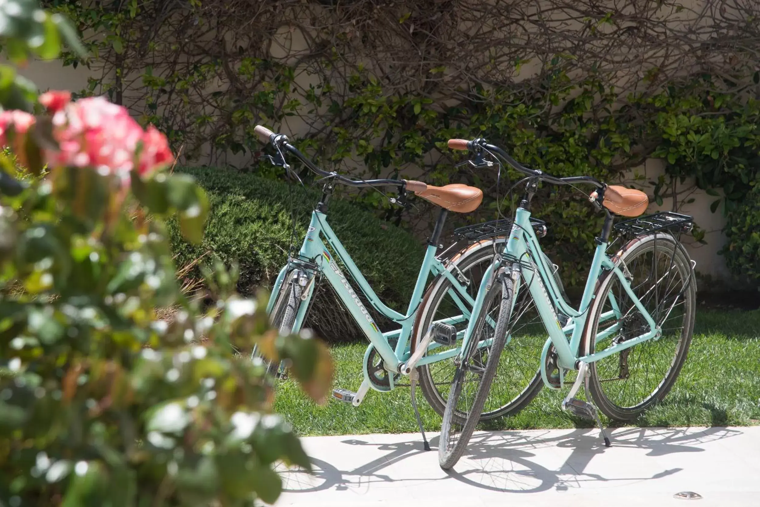 Cycling in Hotel Nautilus