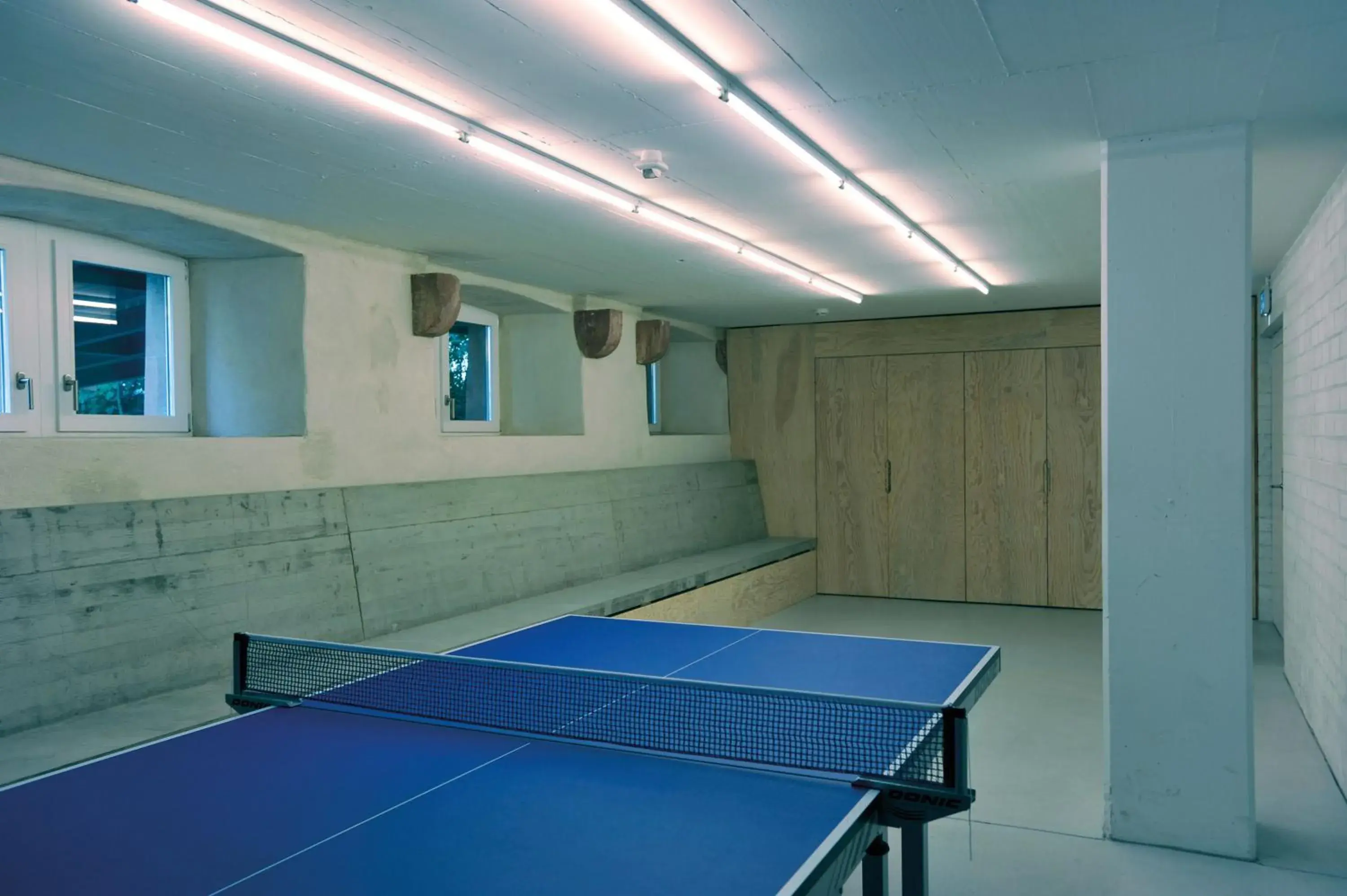 Billiard, Table Tennis in Basel Youth Hostel