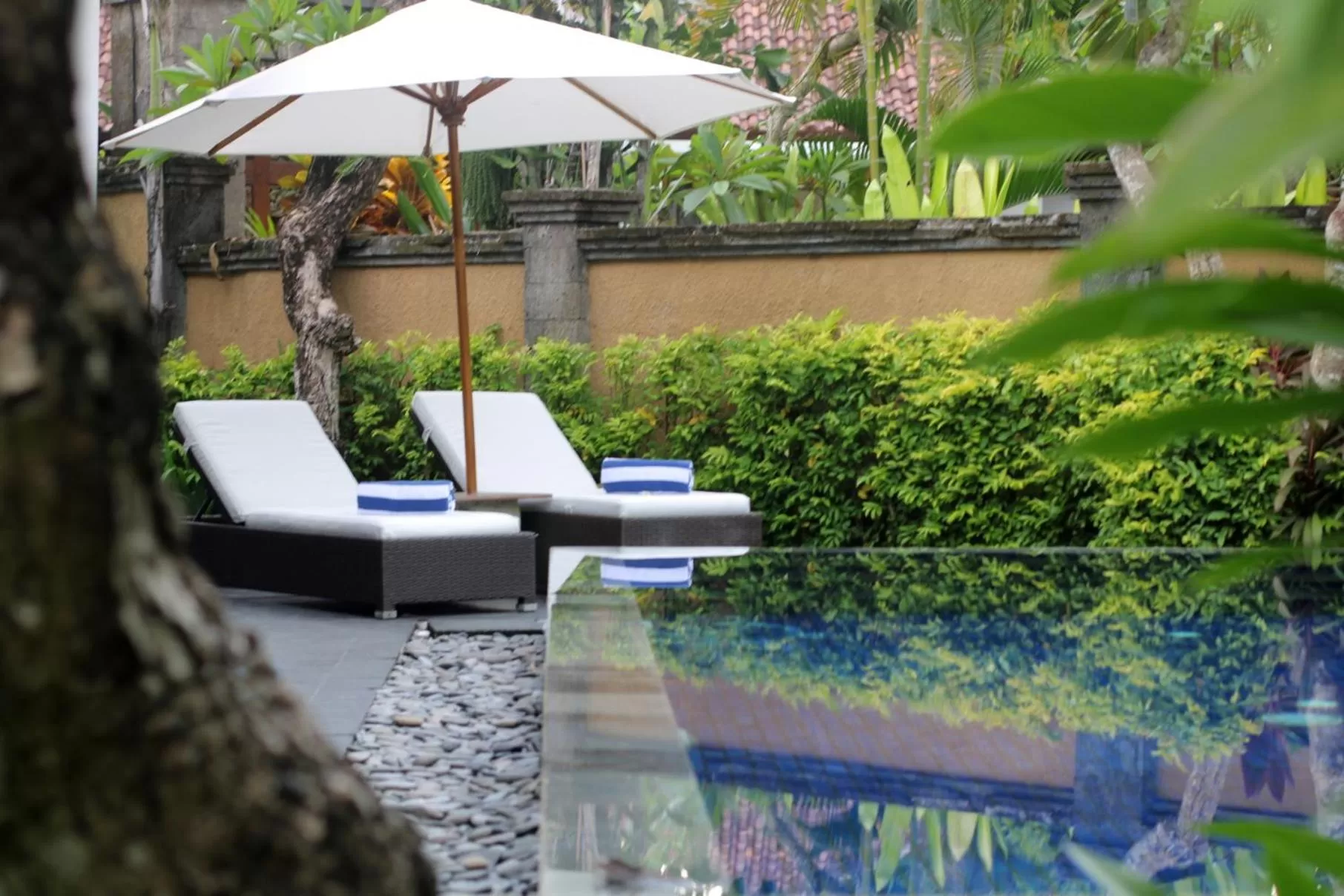 Pool view in Sagara Villas and Suites Sanur by AHM