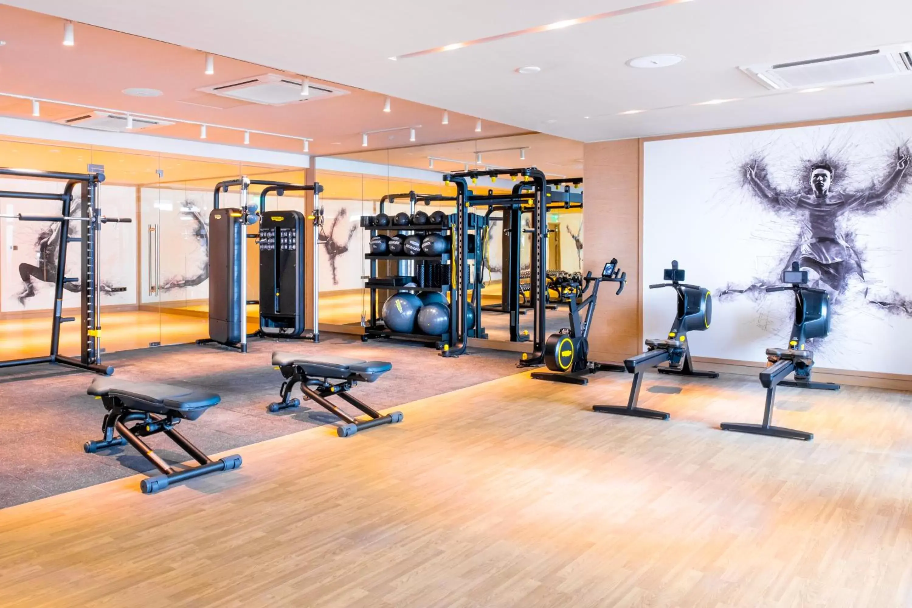 Fitness centre/facilities, Fitness Center/Facilities in Hilton Kinshasa