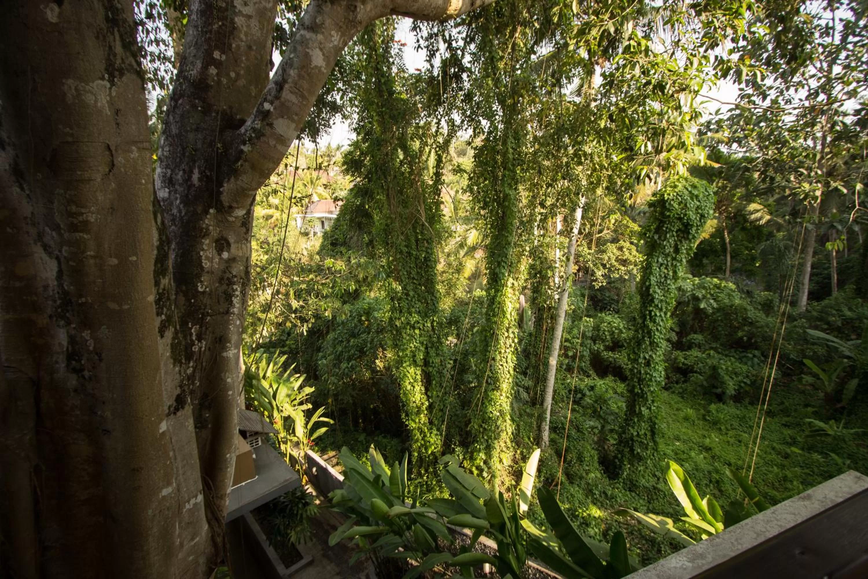 Natural landscape in Labak River Hotel by EPS