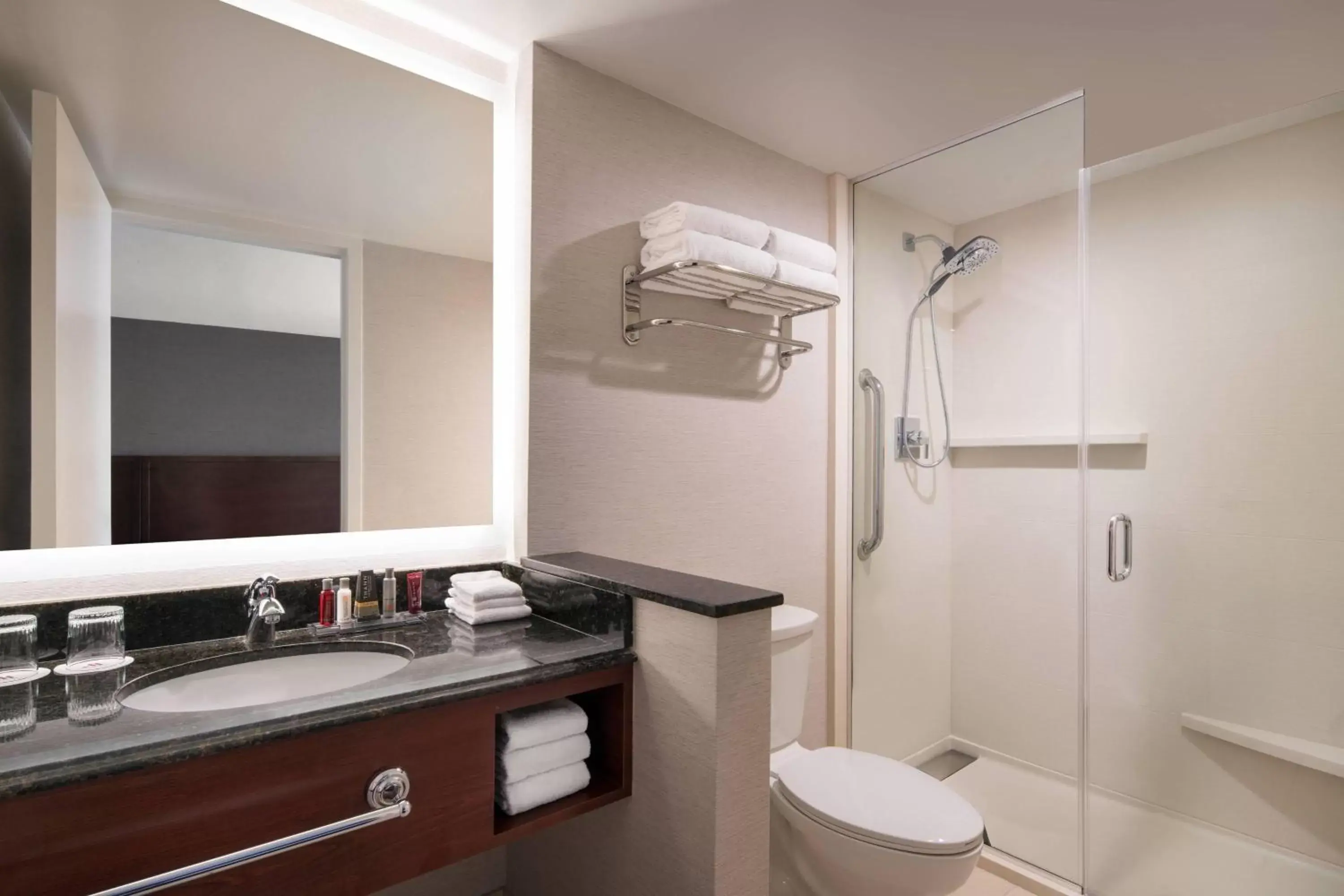 Bathroom in Provo Marriott Hotel & Conference Center