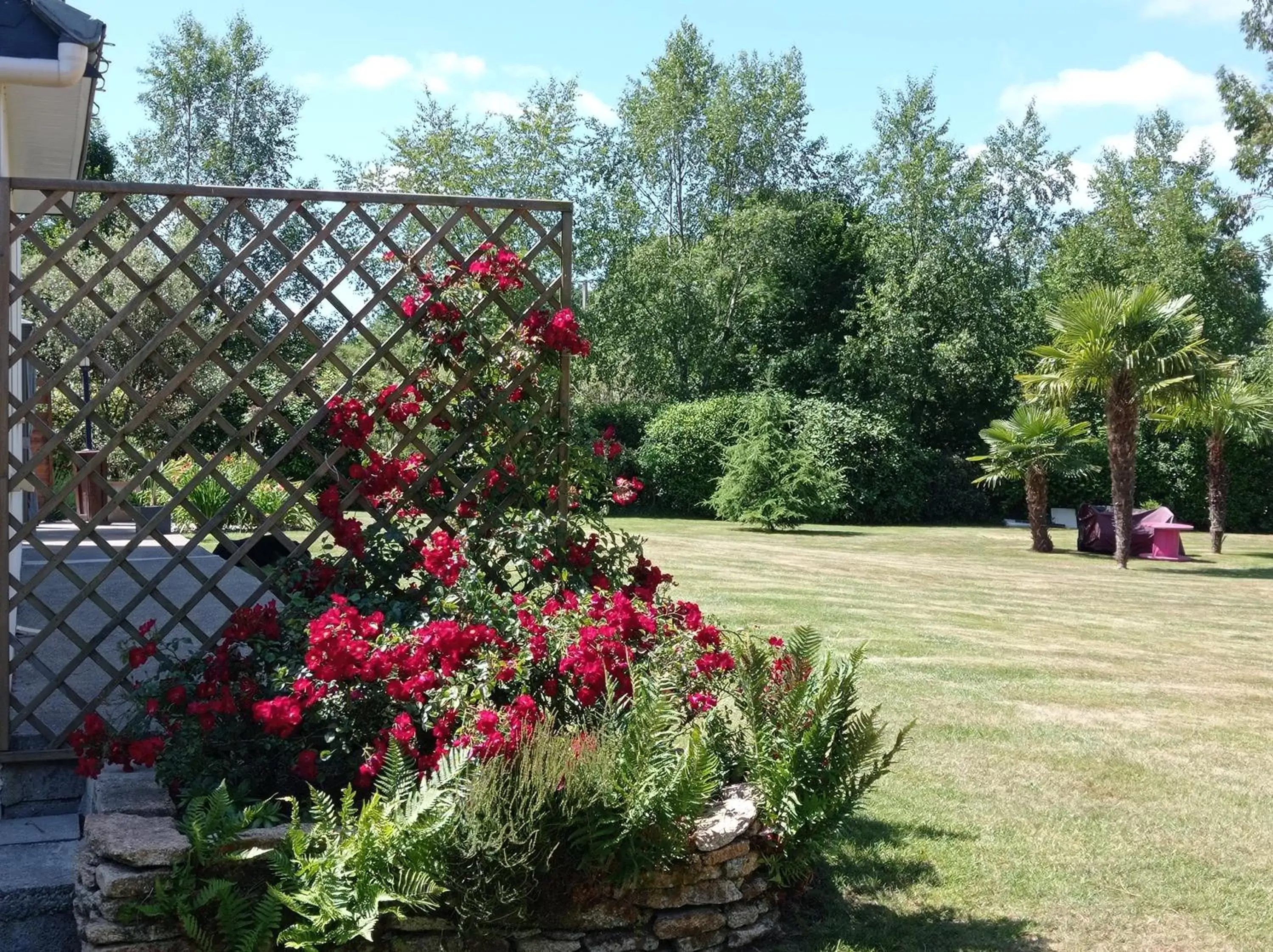 Garden in chambre chez l habitant