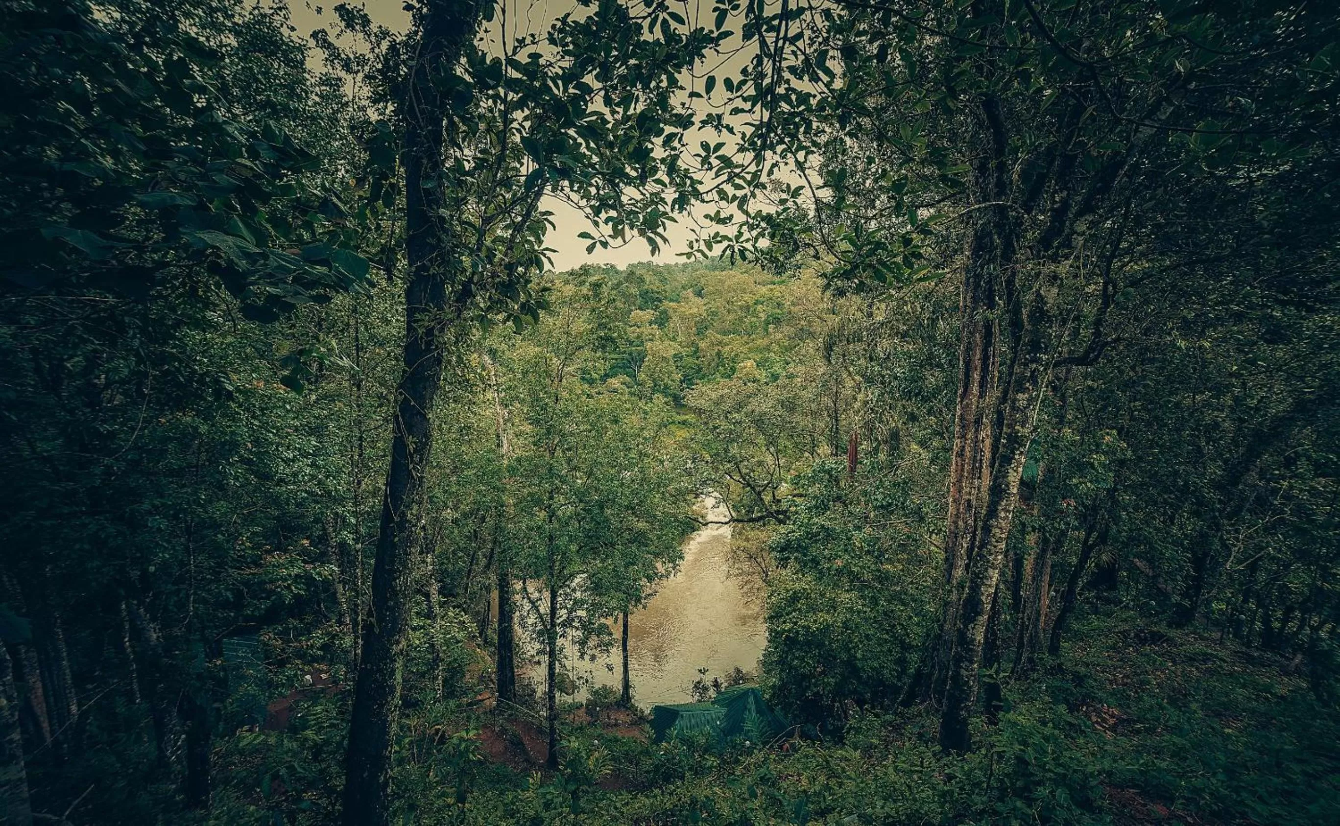 Lake view in Ela Ecoland Nature Retreat