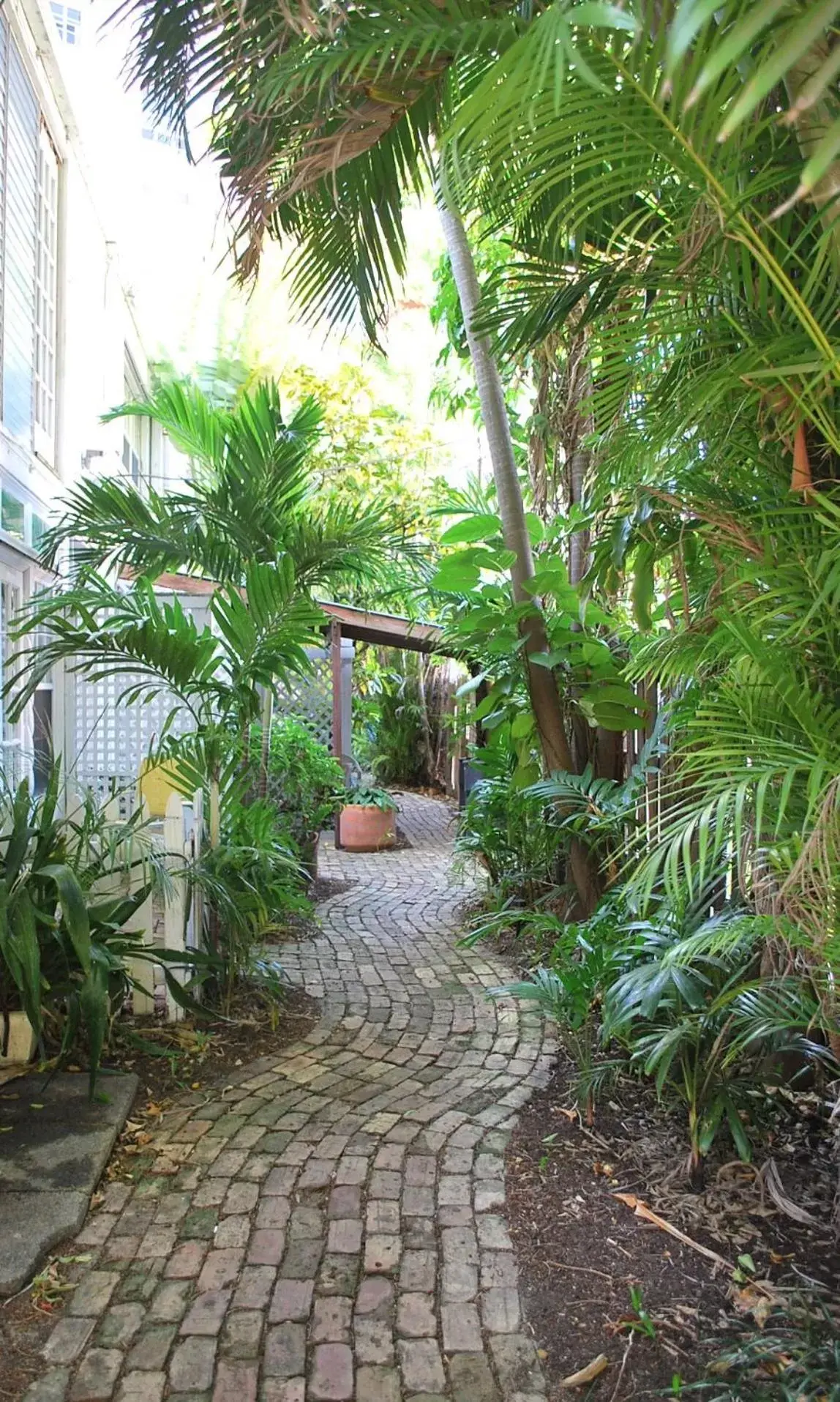 Patio, Garden in Green Island Inn
