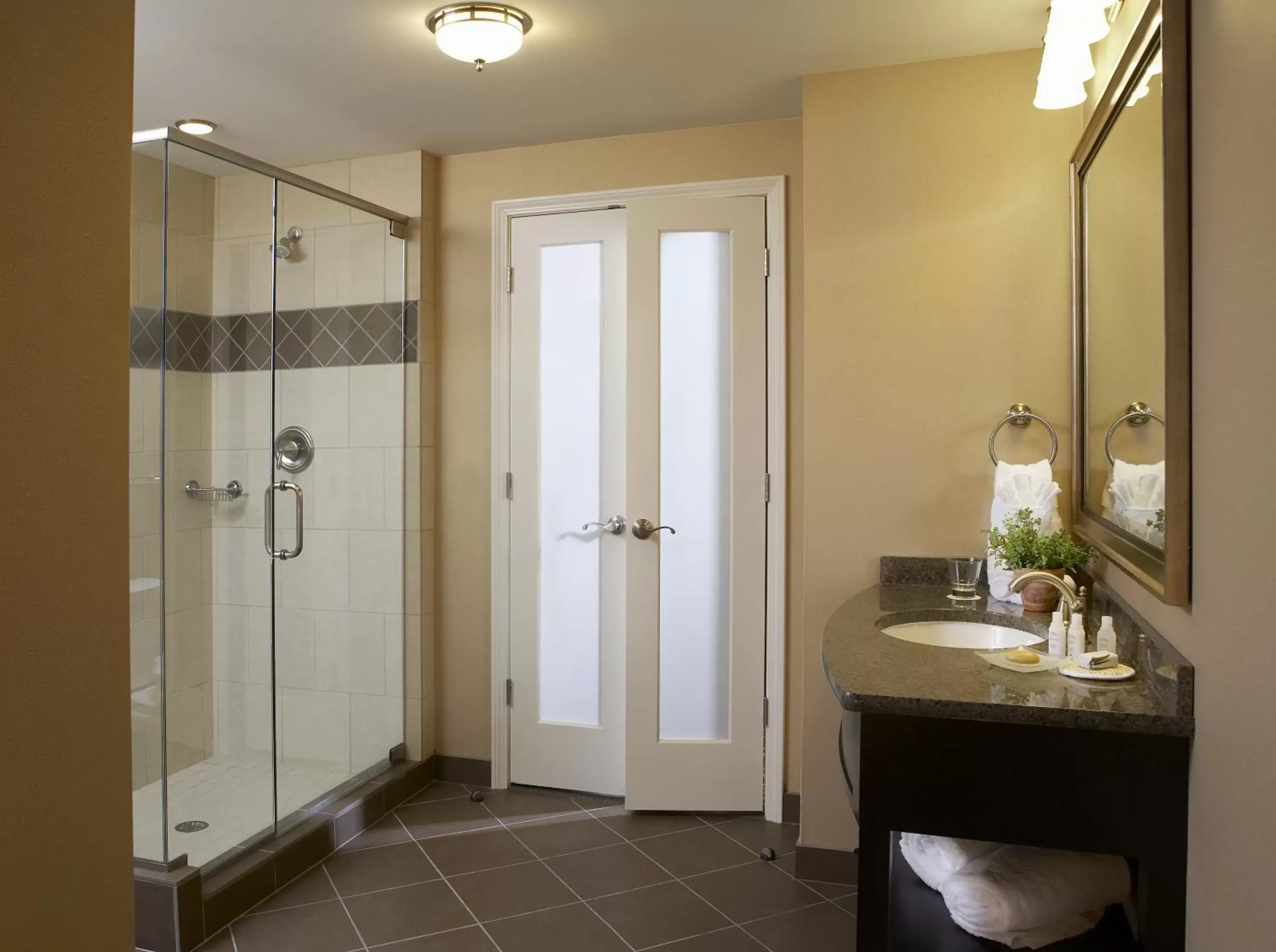 Bathroom in Hotel Julien Dubuque