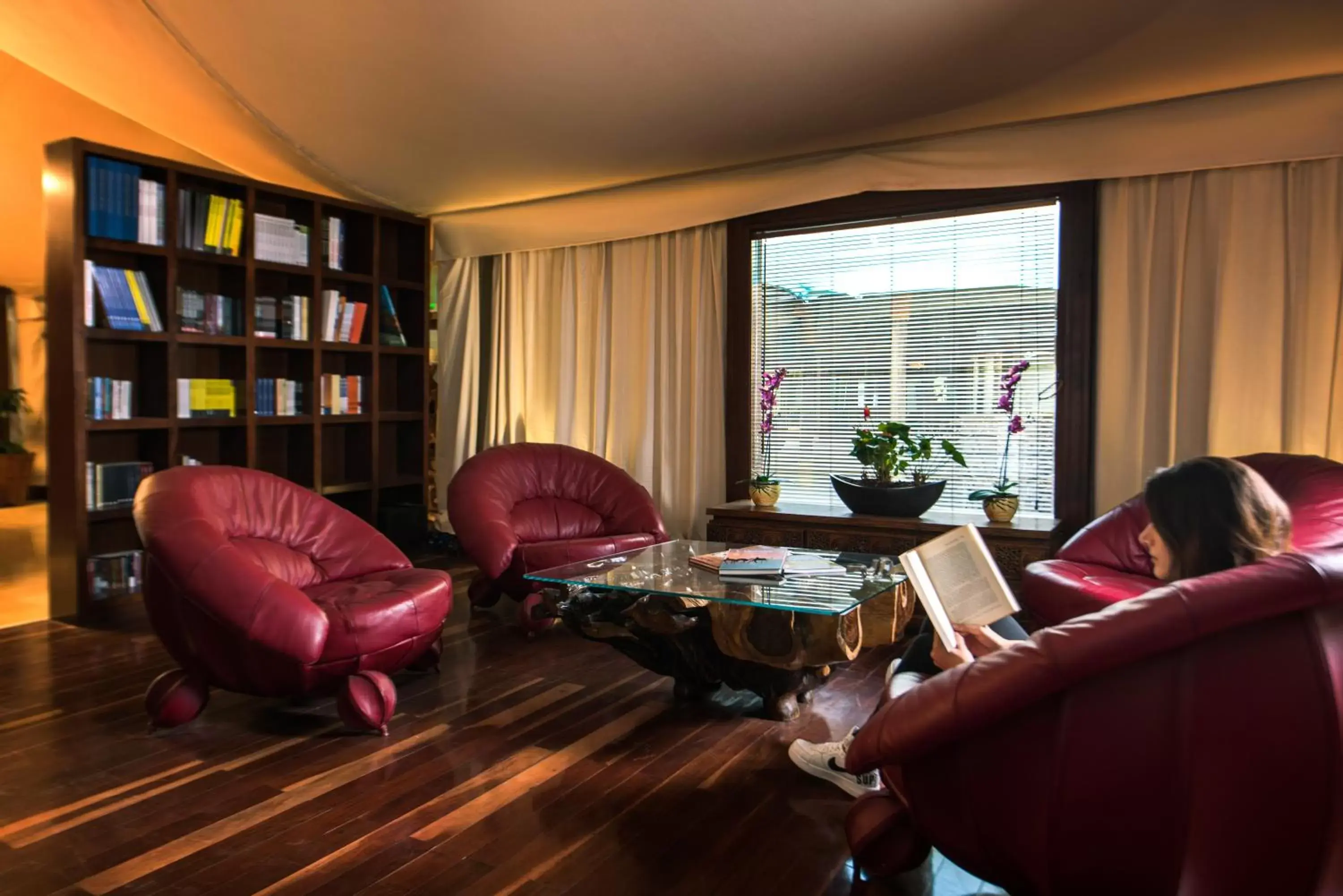 Library, Seating Area in Telal Resort Al Ain