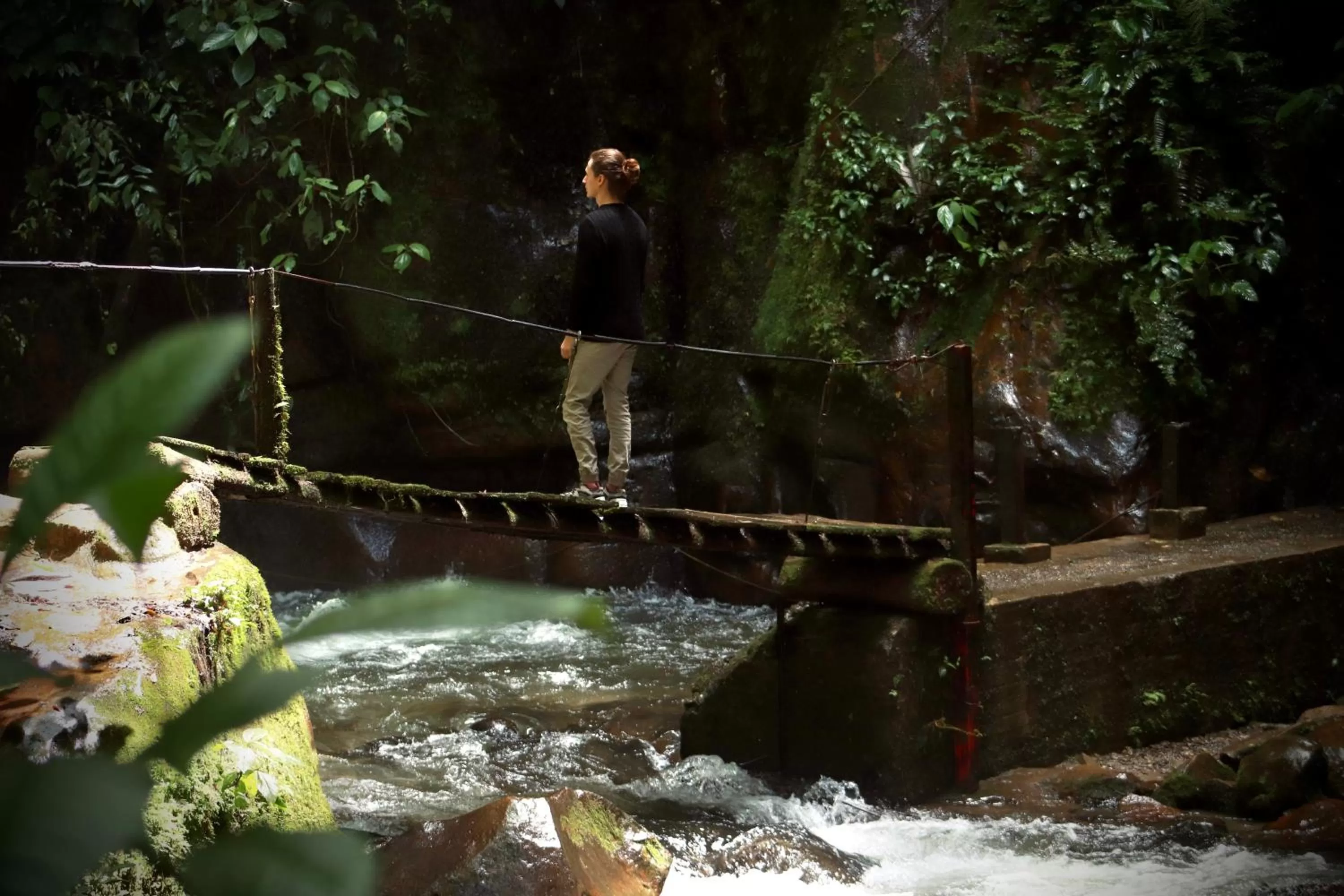 Natural landscape in La Cabaña Ecohotel - Valle del Cocora