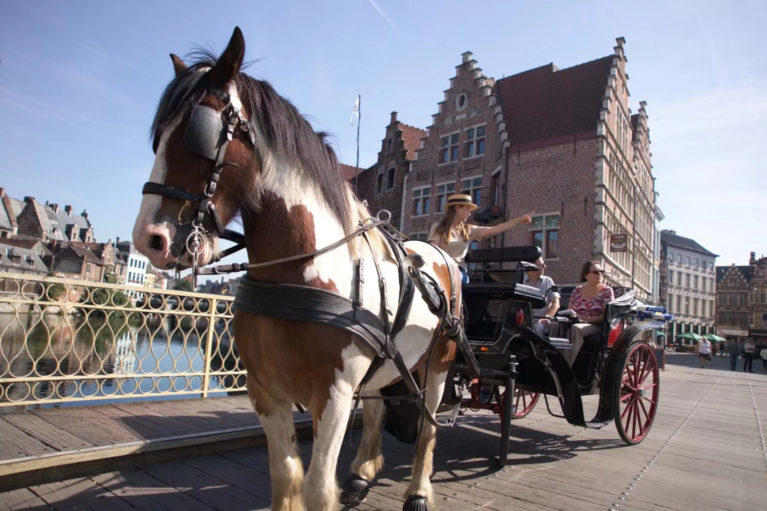 Day, Horseback Riding in Ghent River Hotel