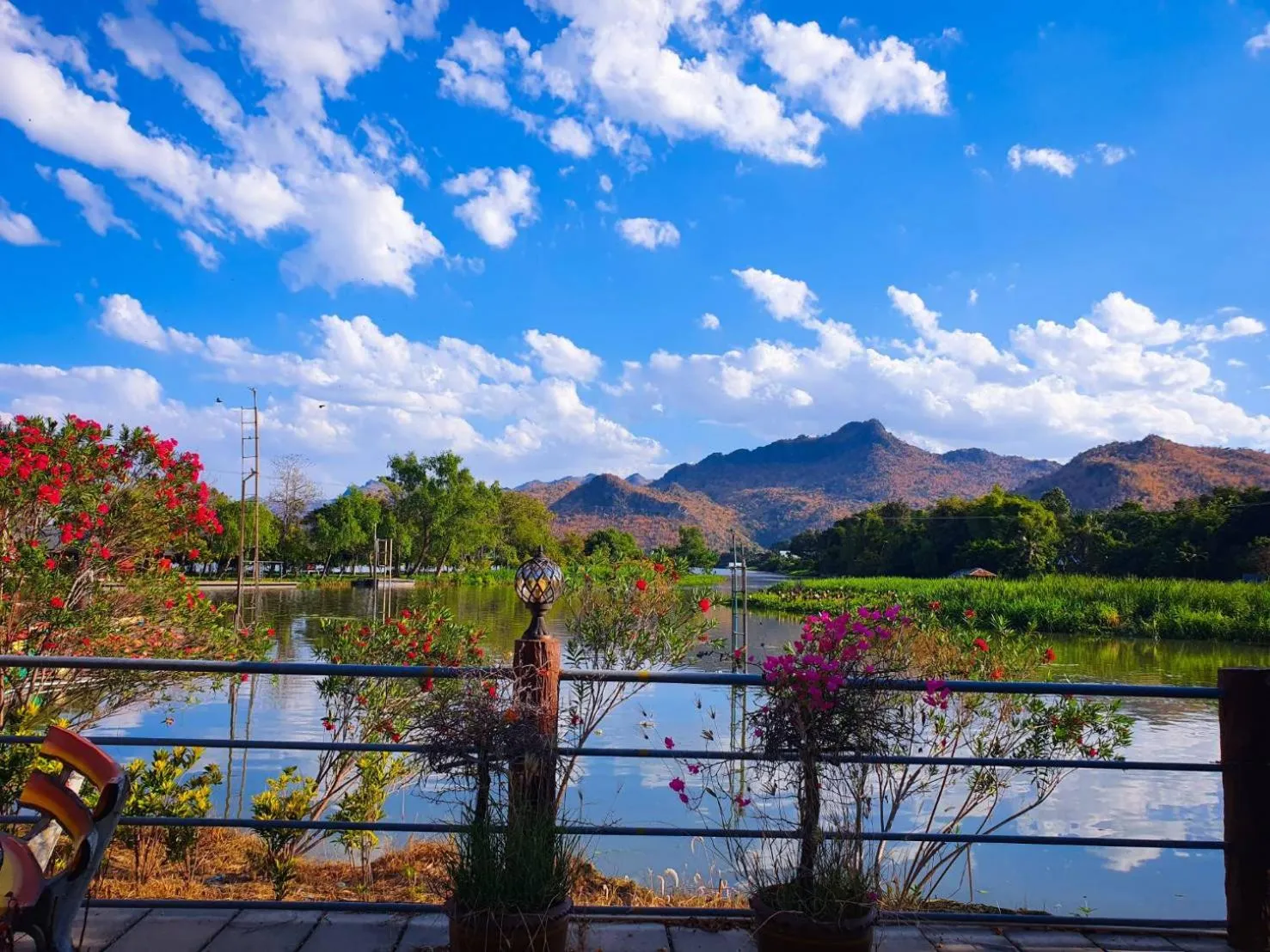 View (from property/room) in Dreampark resort