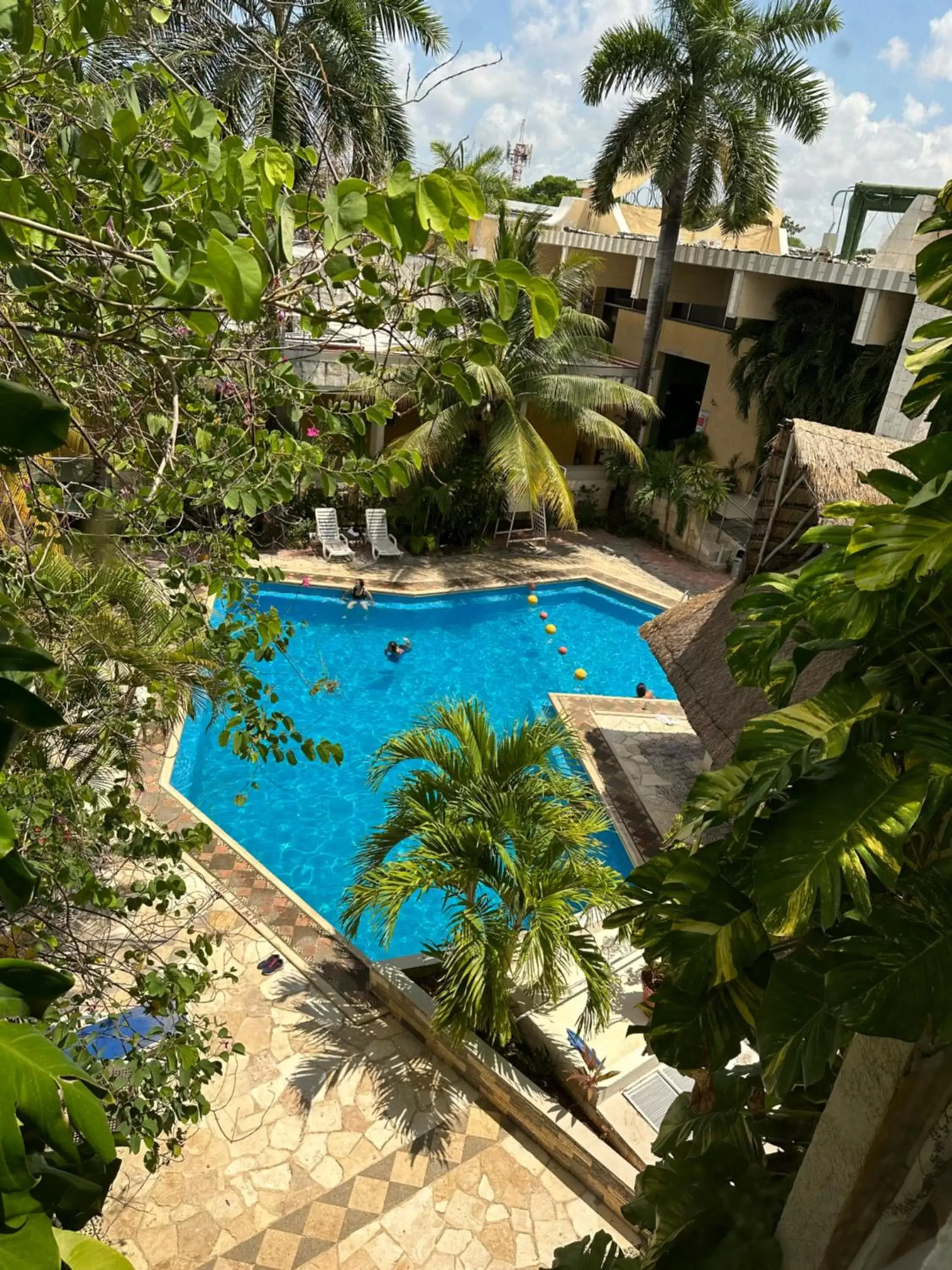 Swimming pool, Pool View in Hotel Plaza Caribe