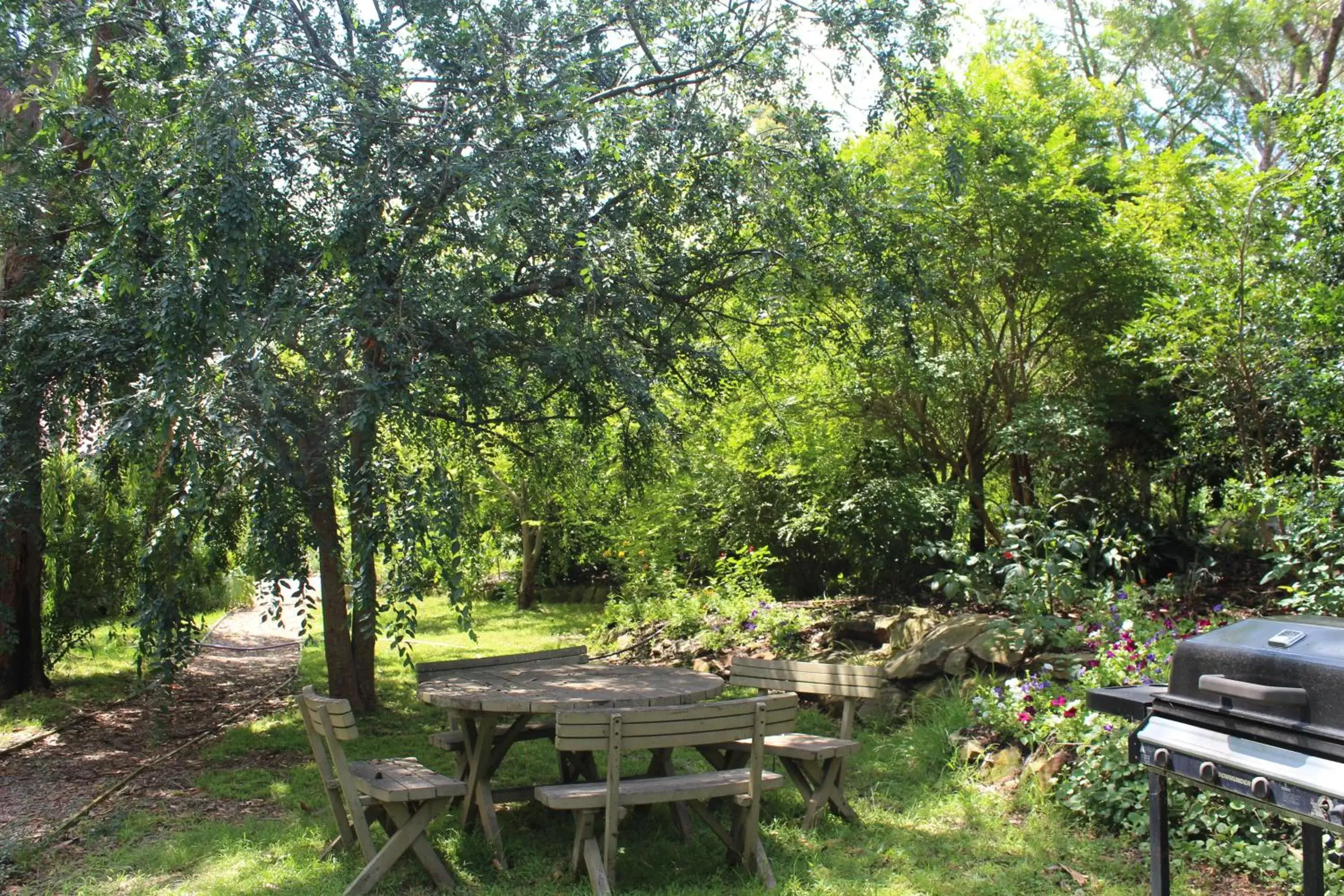 Garden in Storey Grange
