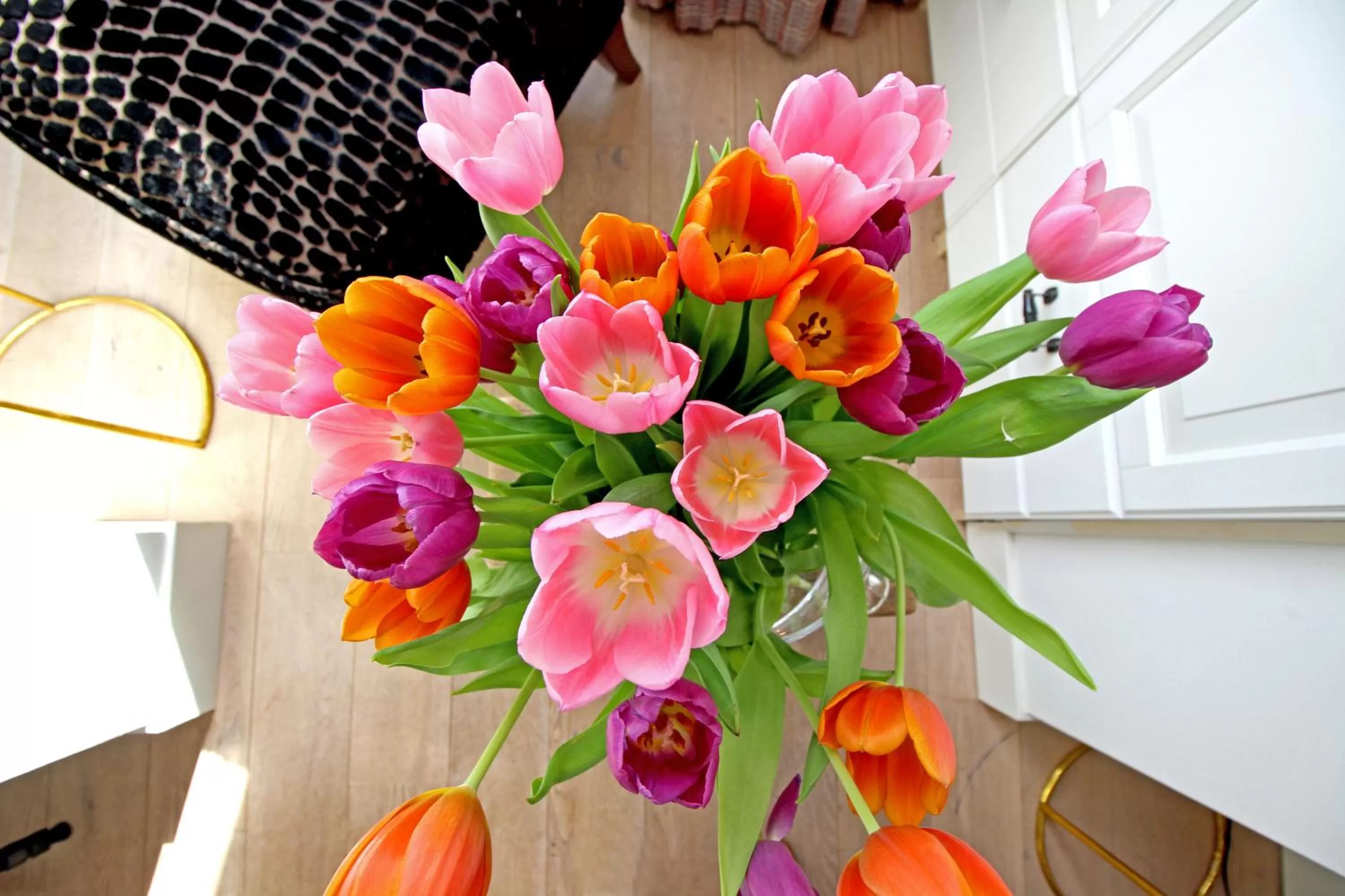 Decorative detail in Vondelpark Suite