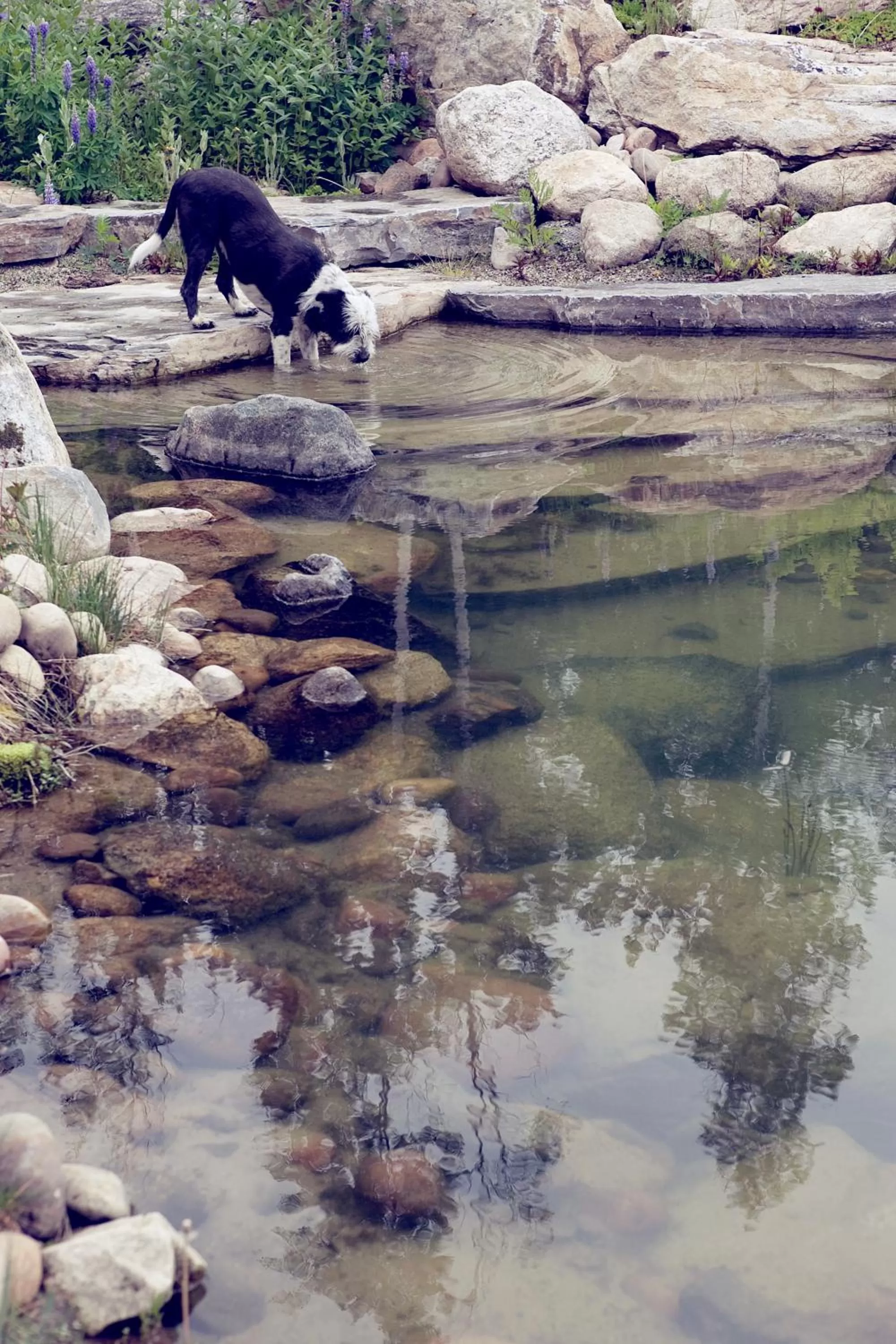 Area and facilities in Talus Rock Retreat