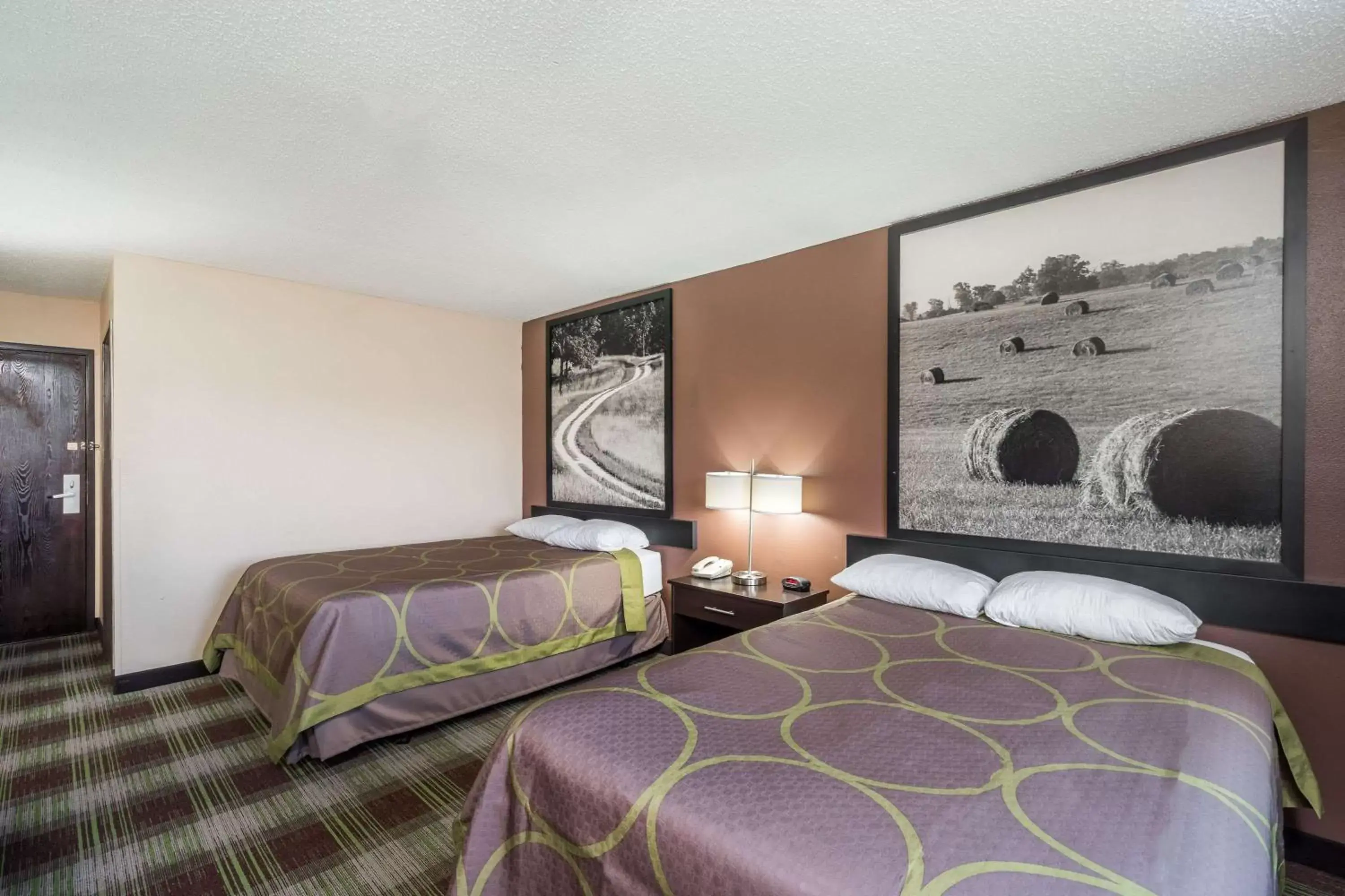 Photo of the whole room, Bed in Super 8 by Wyndham Campbellsville KY Photo of the whole room, Bed in Super 8 by Wyndham Campbellsville KY