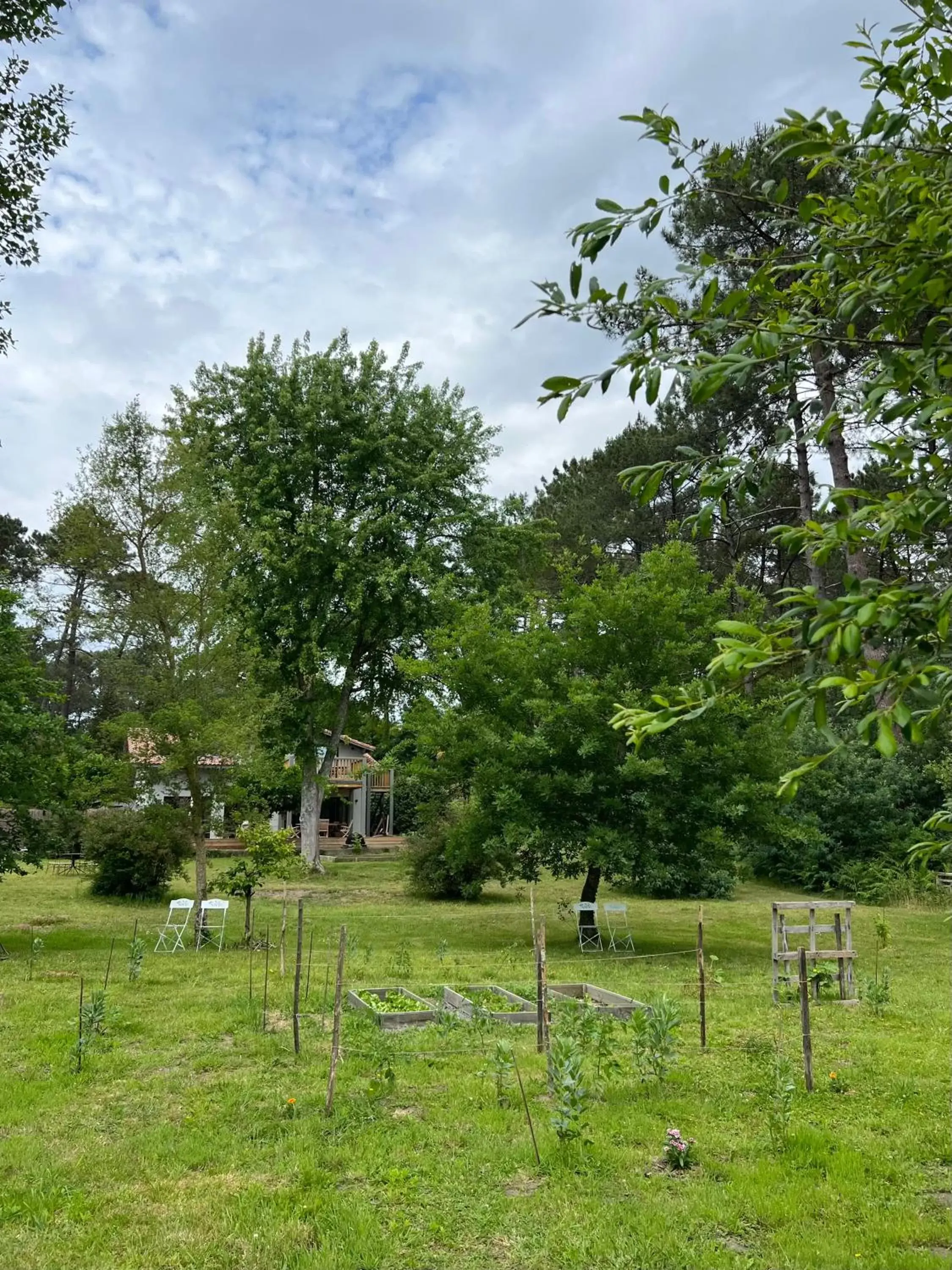 Garden in Laguillotte