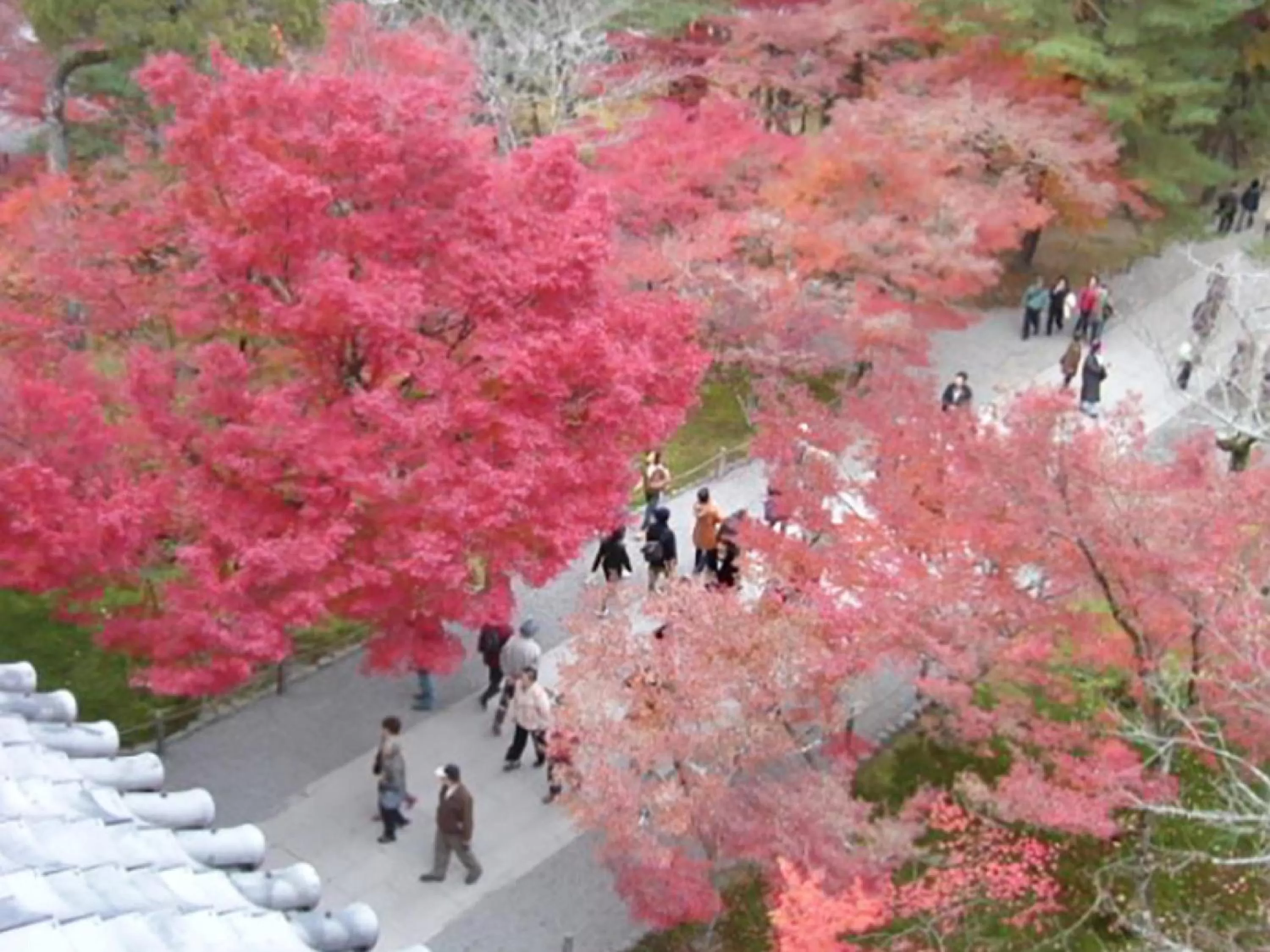 Nearby landmark in Hotel Wing International Kyoto - Shijo Karasuma