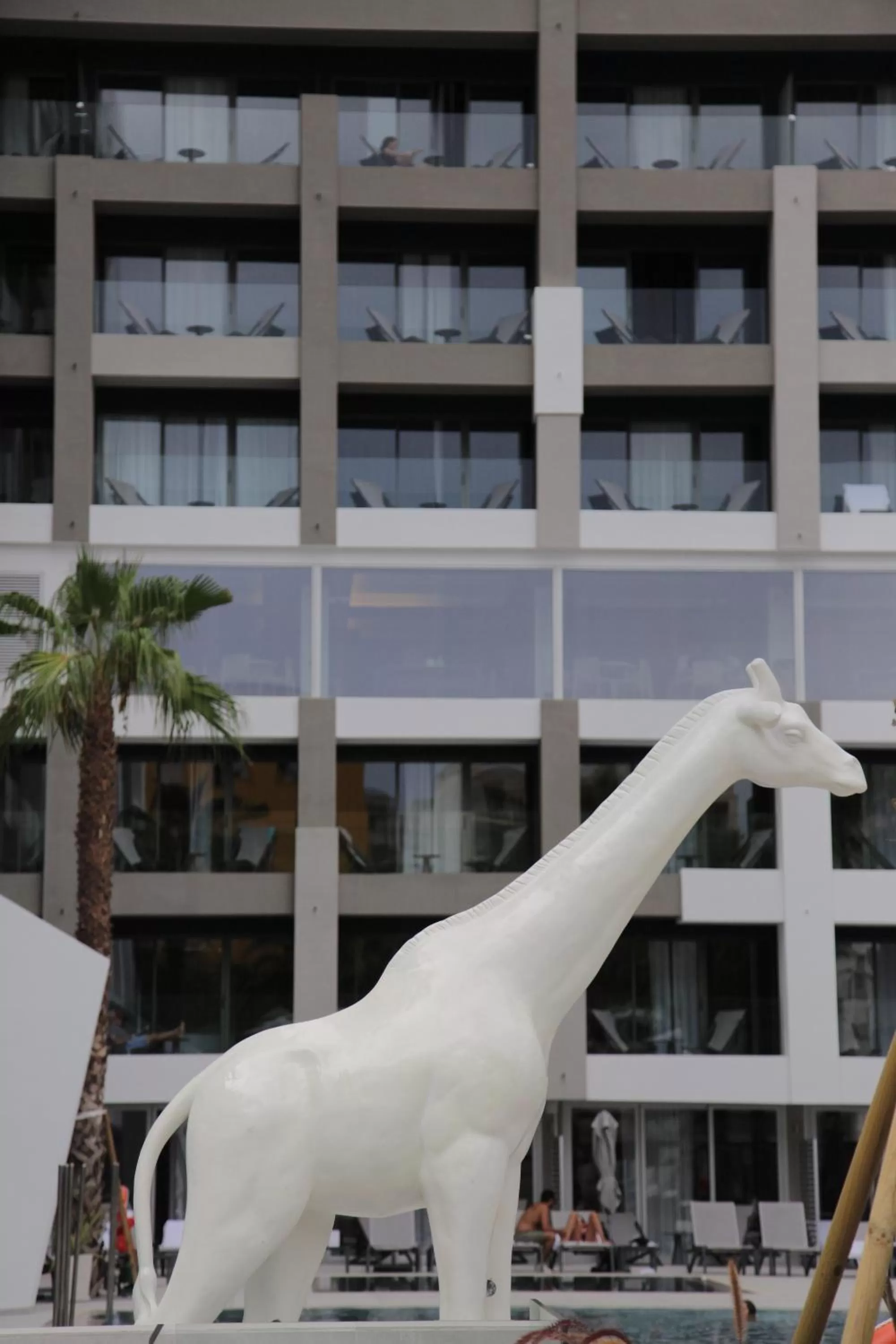 Swimming pool in INNSiDE by Meliá Palma Bosque