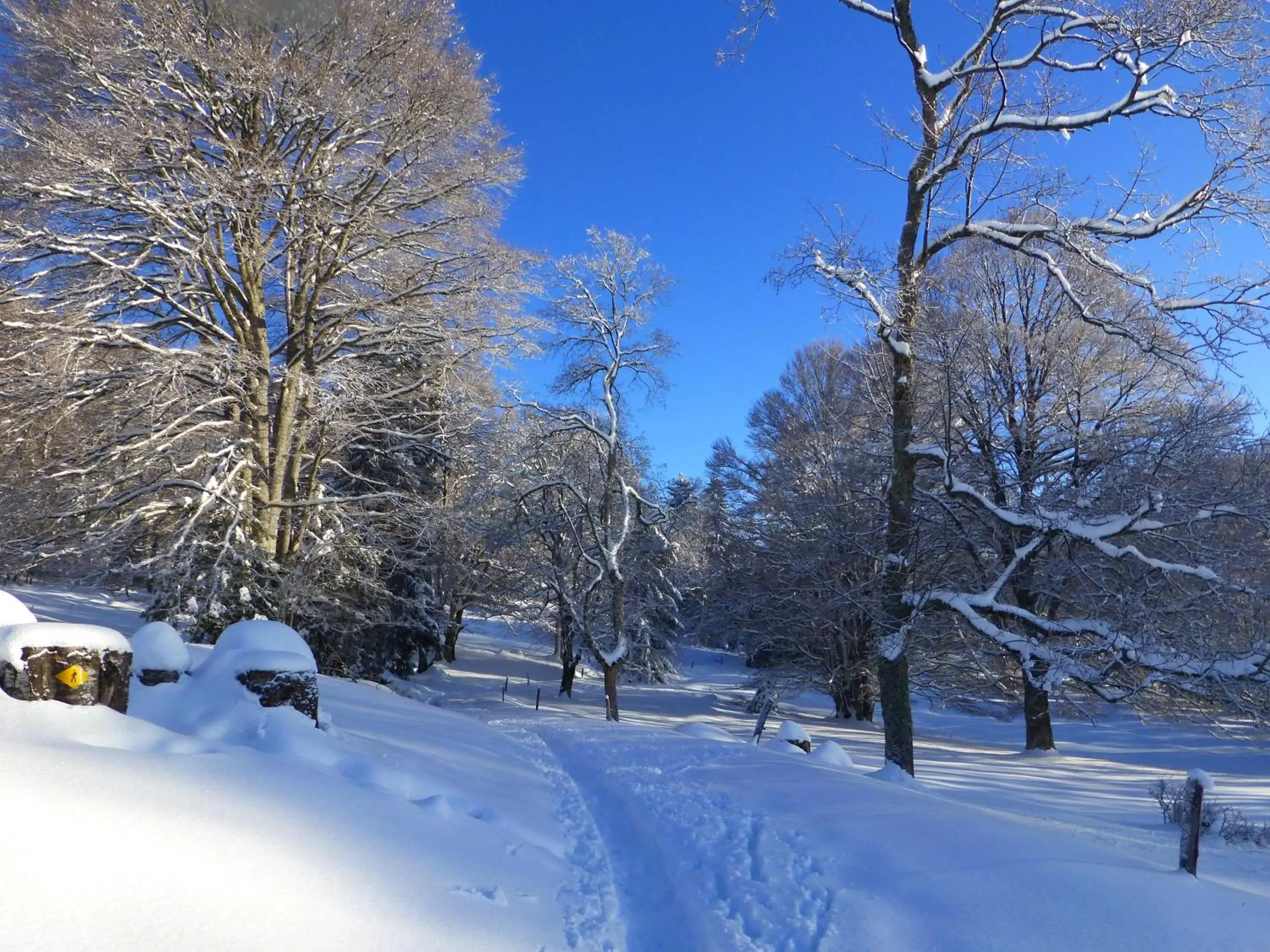 Skiing, Winter in BNB Tuileries