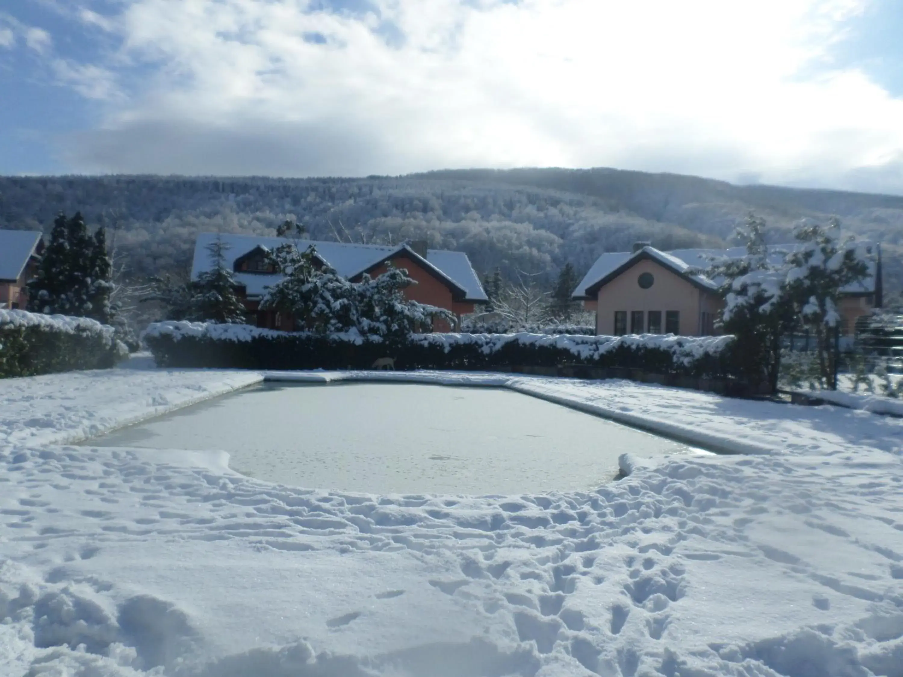 Winter in Villa Kirkpinar Sapanca